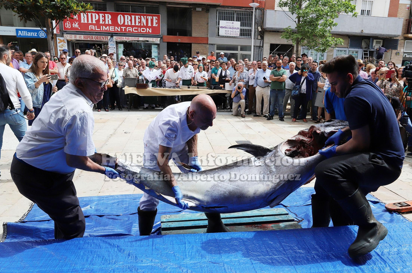 Imágenes del Ronqueo del Atún en el mercado de Huelva