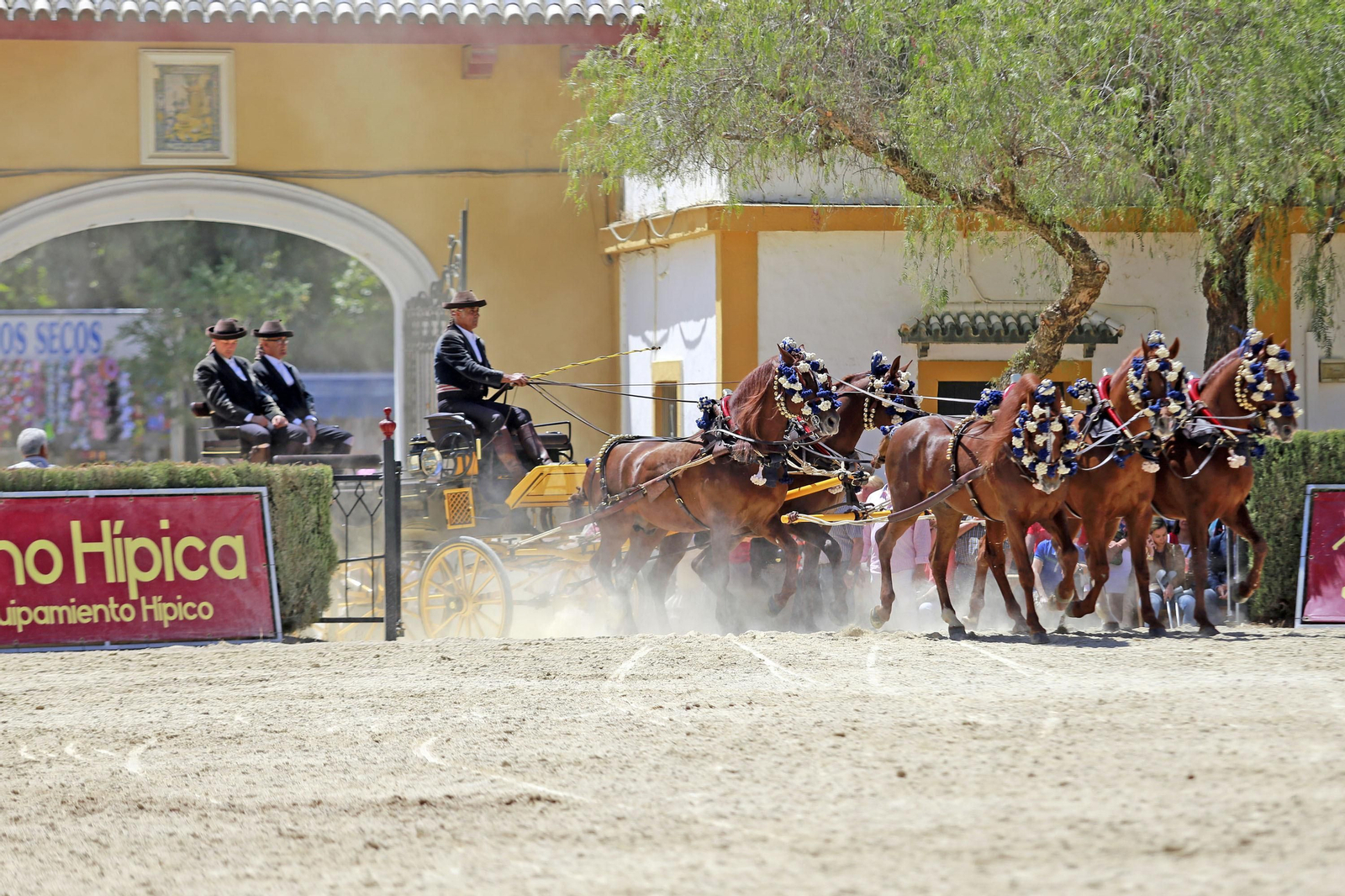 Trofeos de los concursos de Enganches y Morfológicos en la Feria de Jerez
