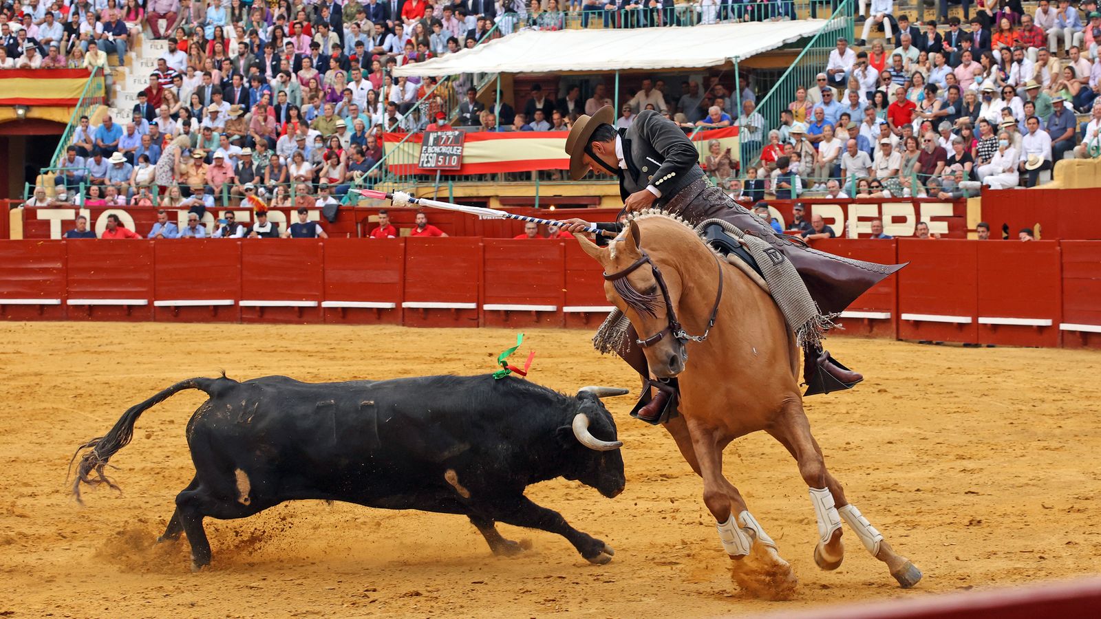 Toros en Jerez: El arte ecuestre