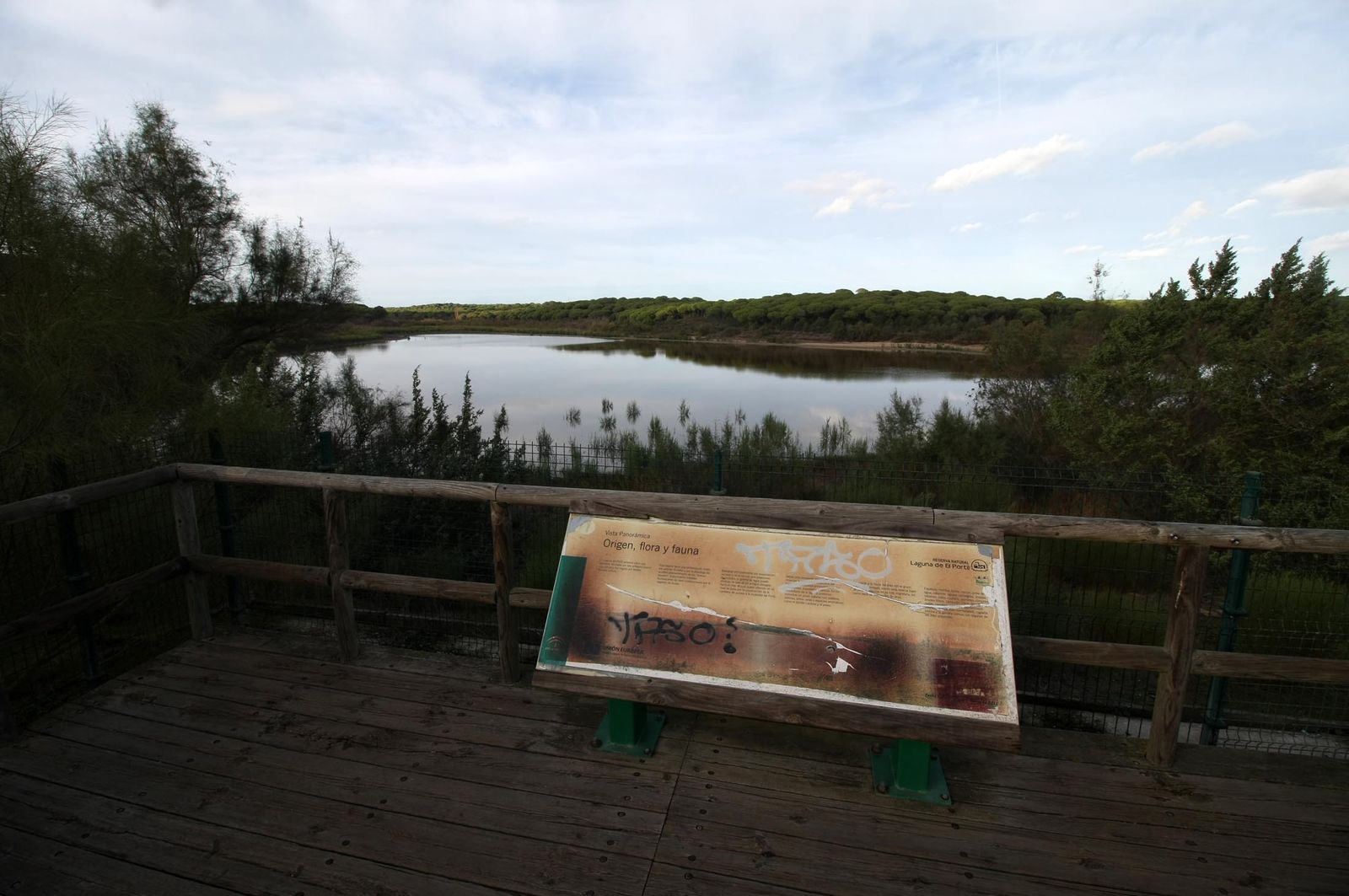 Imágenes de la marisma de El Rocío y de la laguna de El Portil tras las últimas lluvias