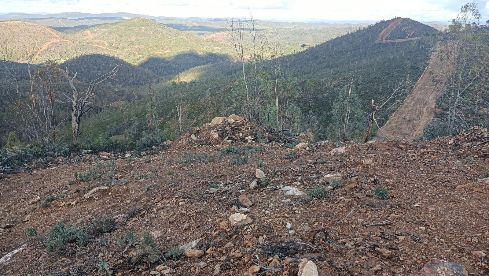 Toca bajar siguiendo el cortafuegos.
