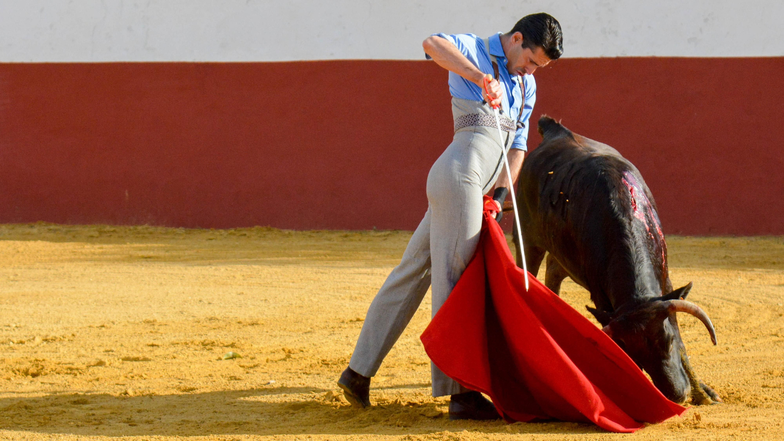 Tentadero con Talavante en la finca La Palmosilla