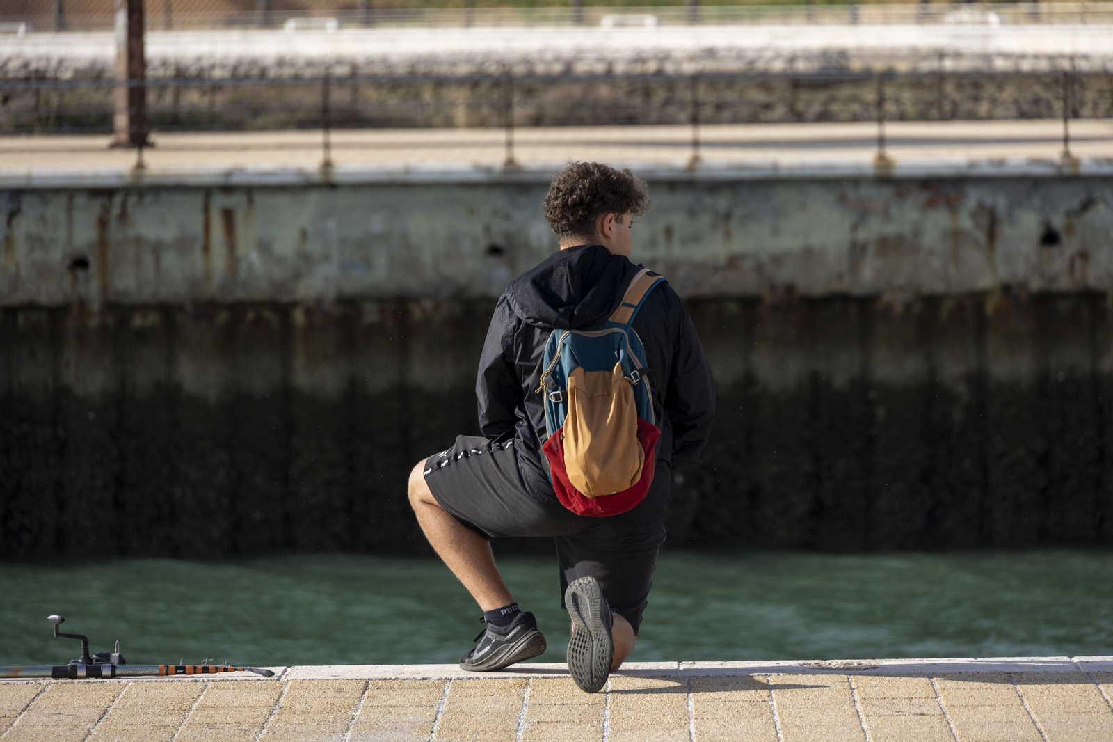 Las imágenes del mal estado de los paseos de Cádiz