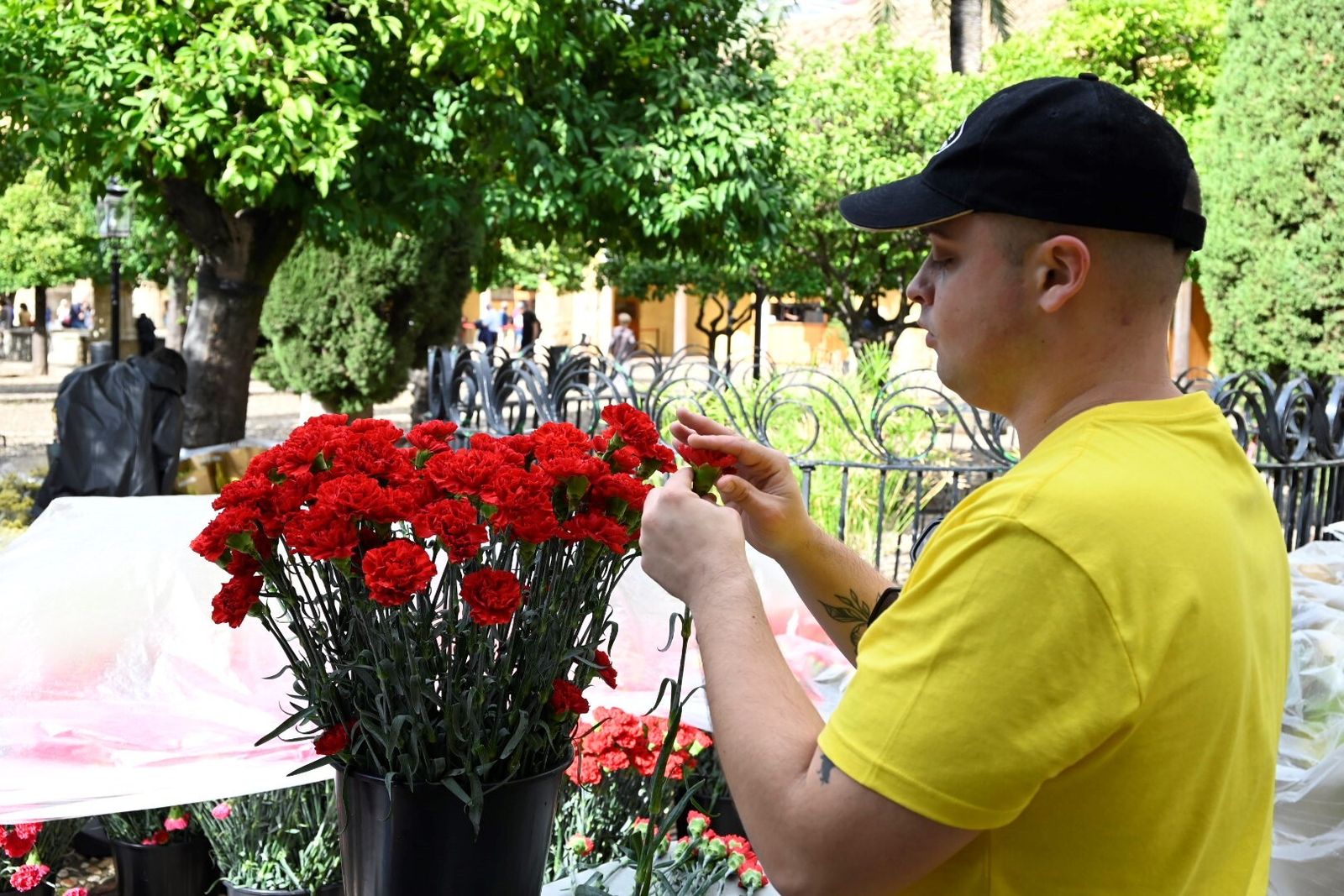 El avance de las creaciones de Flora, en imágenes