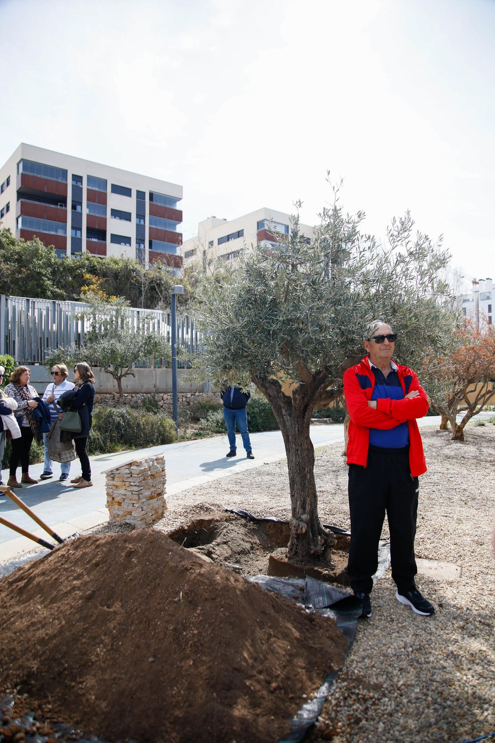 Las imágenes de la plantación de un olivo y el entierro de una cápsula del tiempo