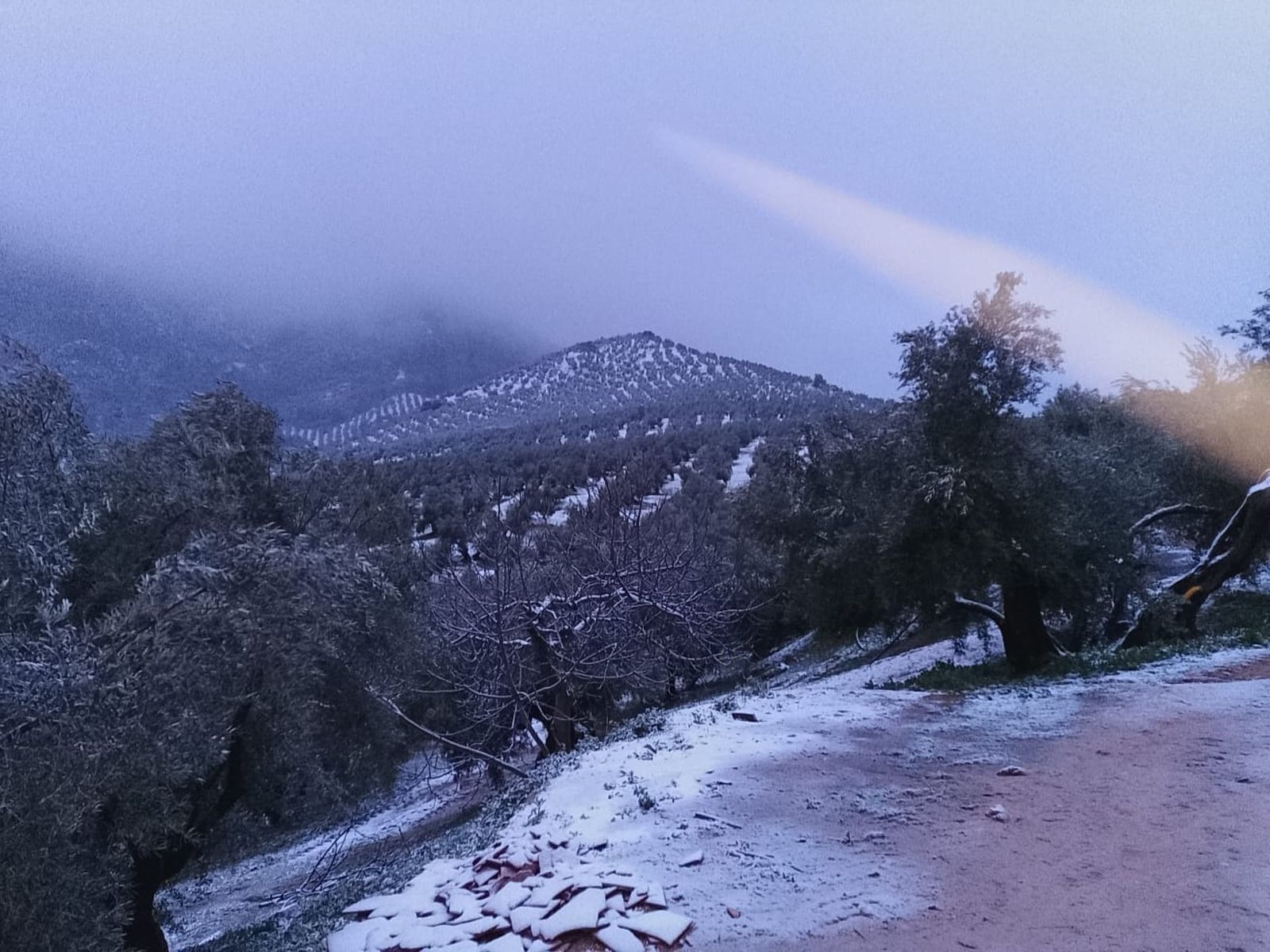 WhatsApp Image 2026-01-24 at 10.53.02