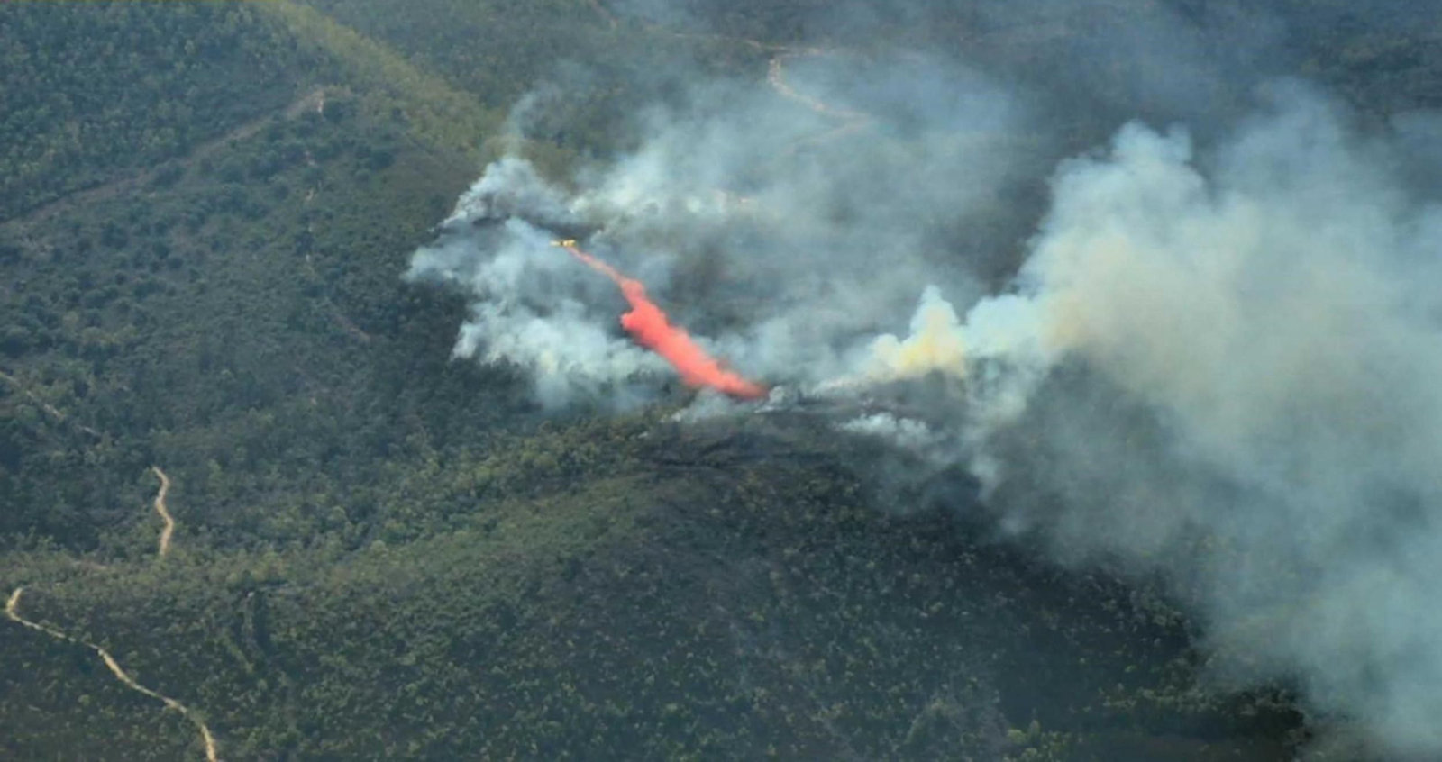 Panorámica aérea del incendio de La Zarza, que calcinó 1,2 hectáreas de masa forestal el pasado 6 de agosto.