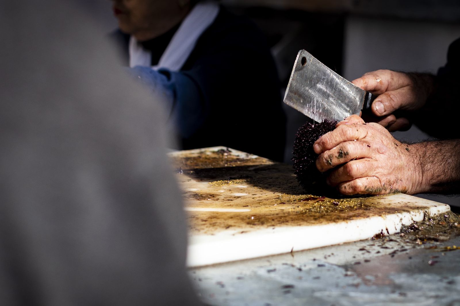 Búscate entre las mejores imágenes de la Erizada 2024 del Carnaval de Cádiz