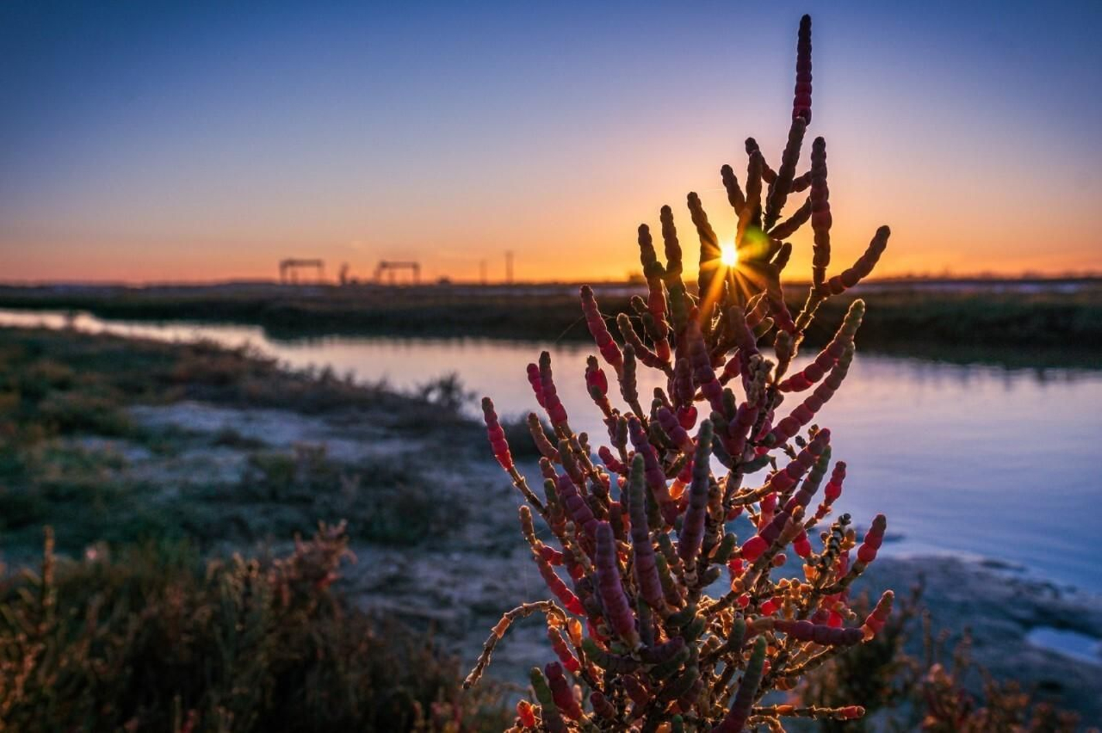 Fotografía ganadora del certamen del año pasado.