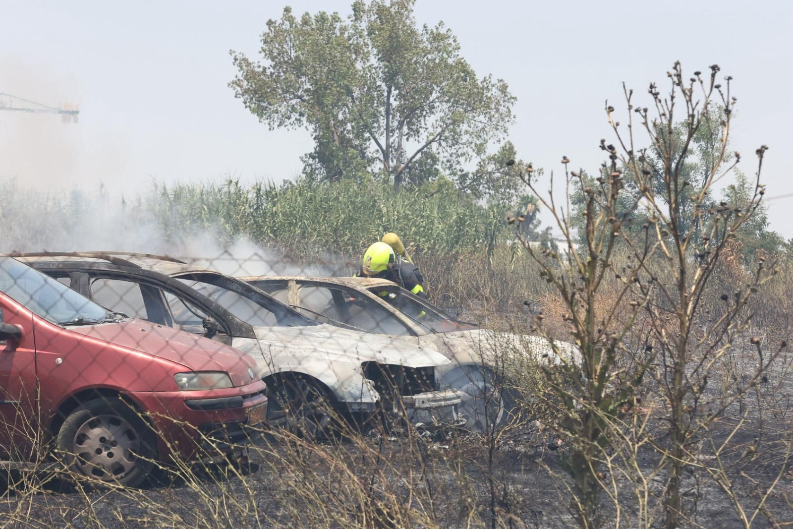 Incendio de pastos junto a la avenida de Espera en Jerez