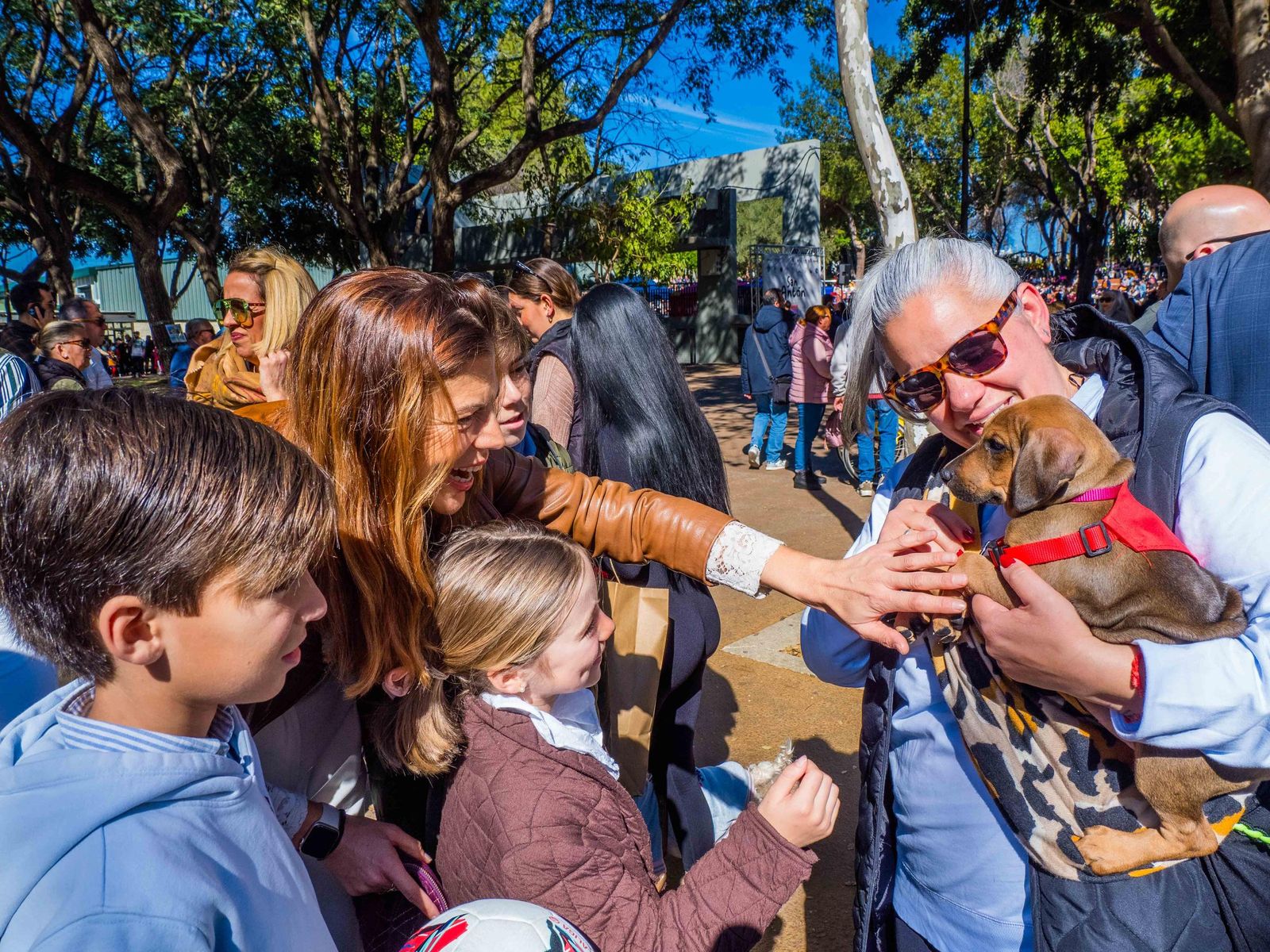 Las imágenes de San Antón 2025 en San Fernando