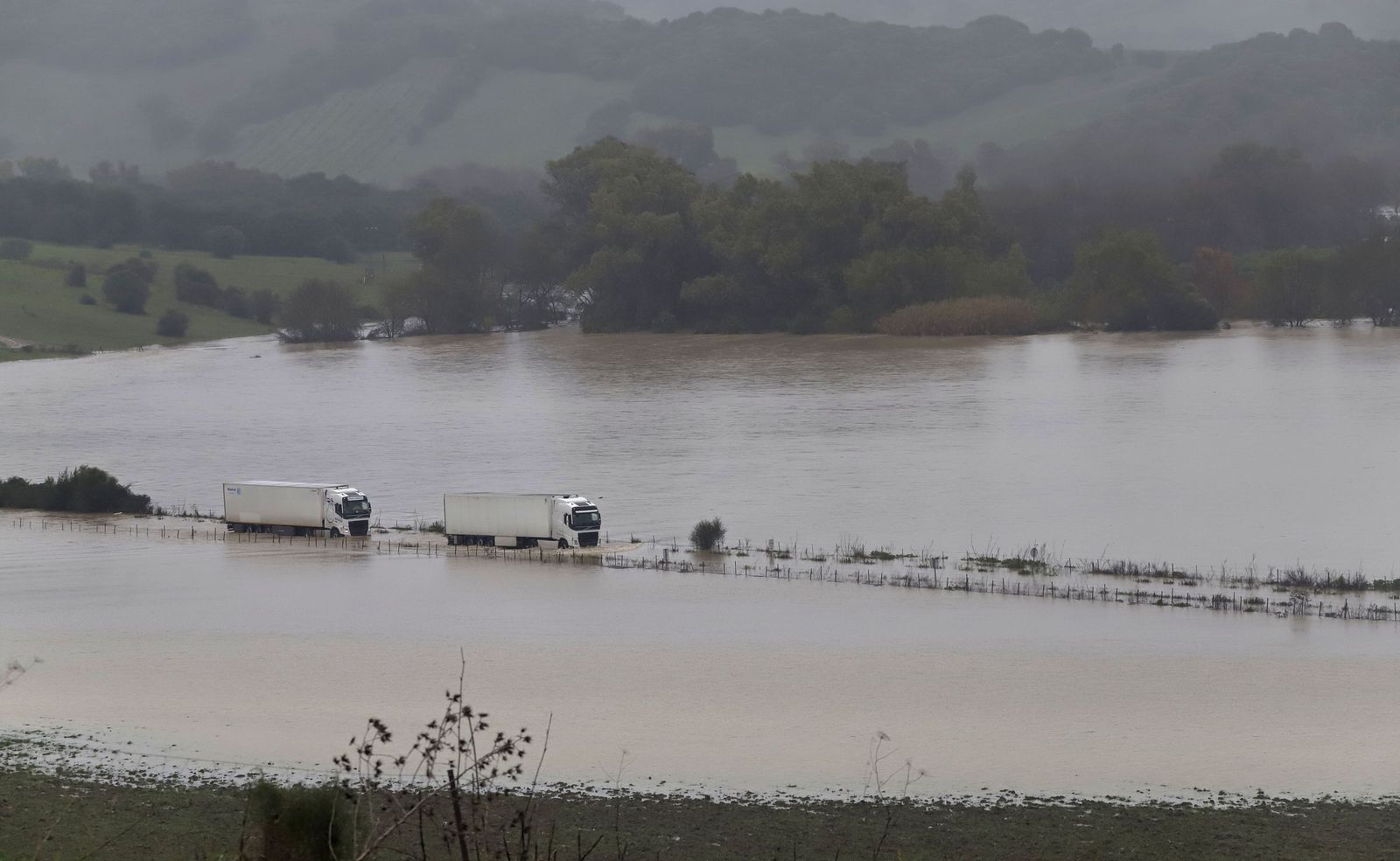 Fotos del temporal de lluvia y viento por la borrasca Kristin en Jimena de la Frontera, San Pablo de Buceite y San Martín del Tesorillo