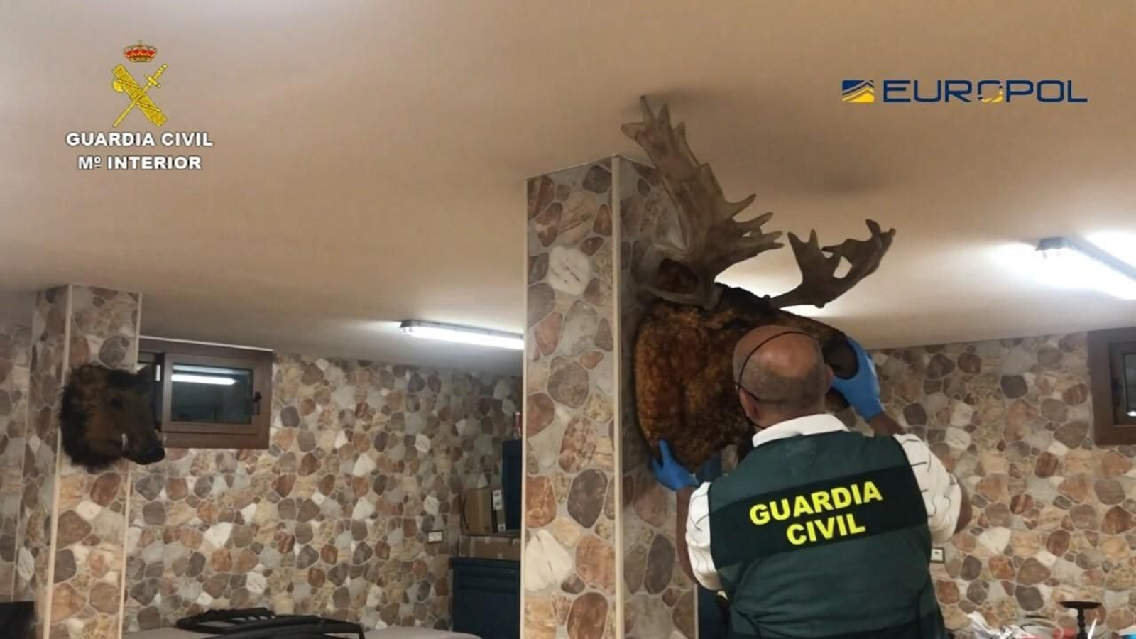 Fotos de la Operación Tortilla contra el narco en el Campo de Gibraltar