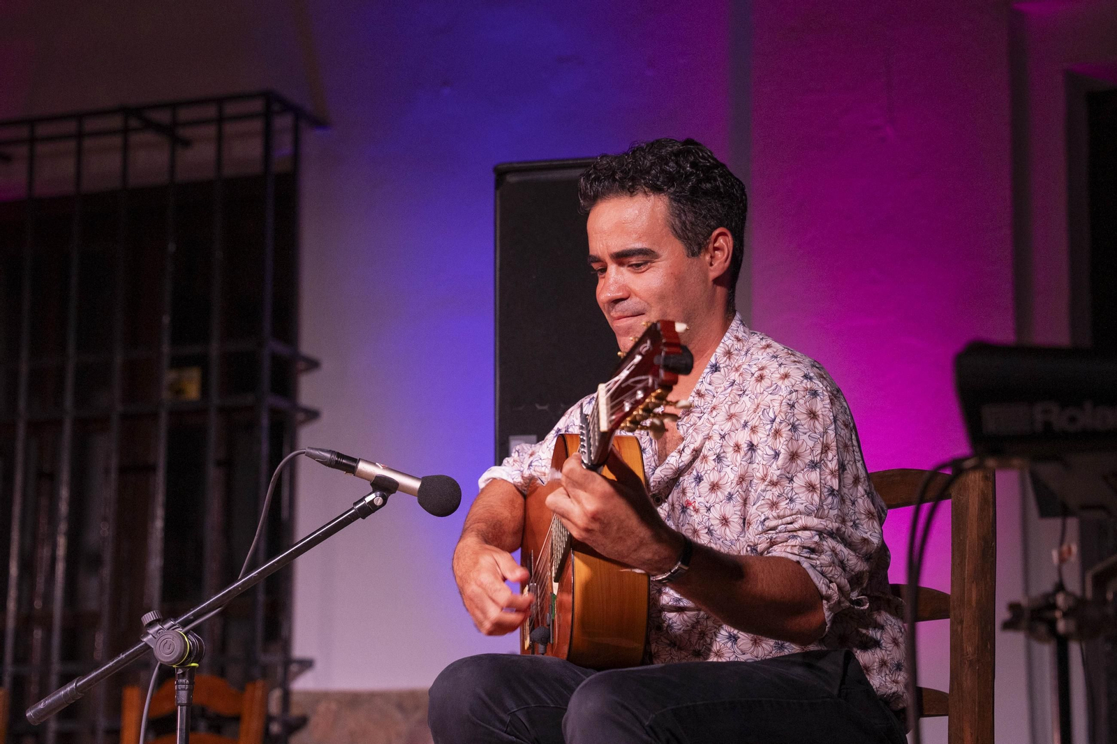 Las mejores imágenes del Festival de Flamenco en Fondón