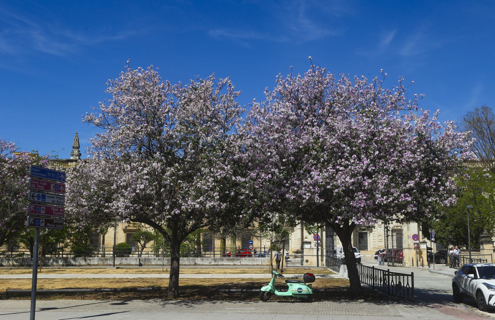 Primavera en Sevilla