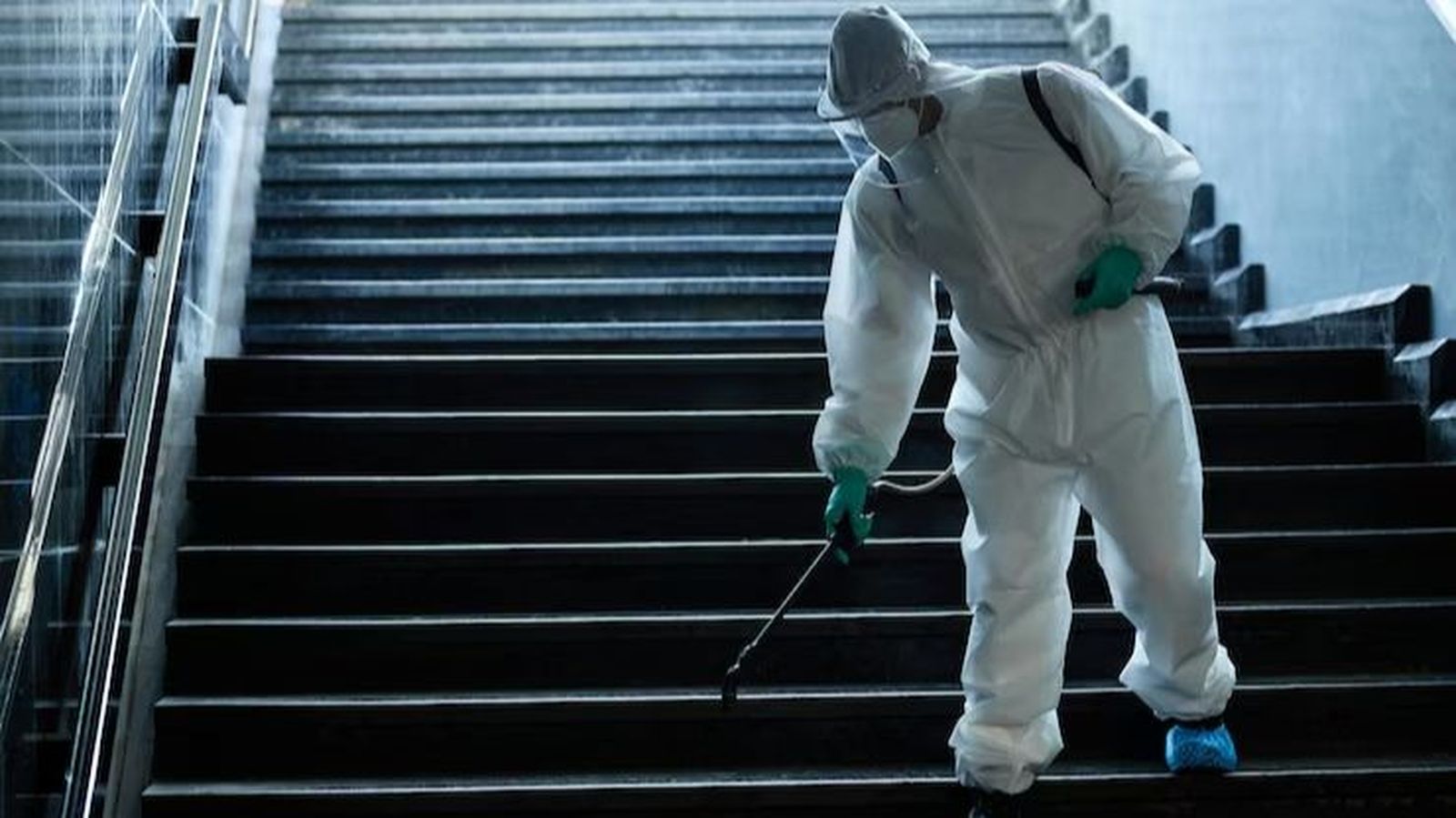 Se acerca el verano (y, con él, las temidas cucarachas): actúa antes de que se conviertan en un problema