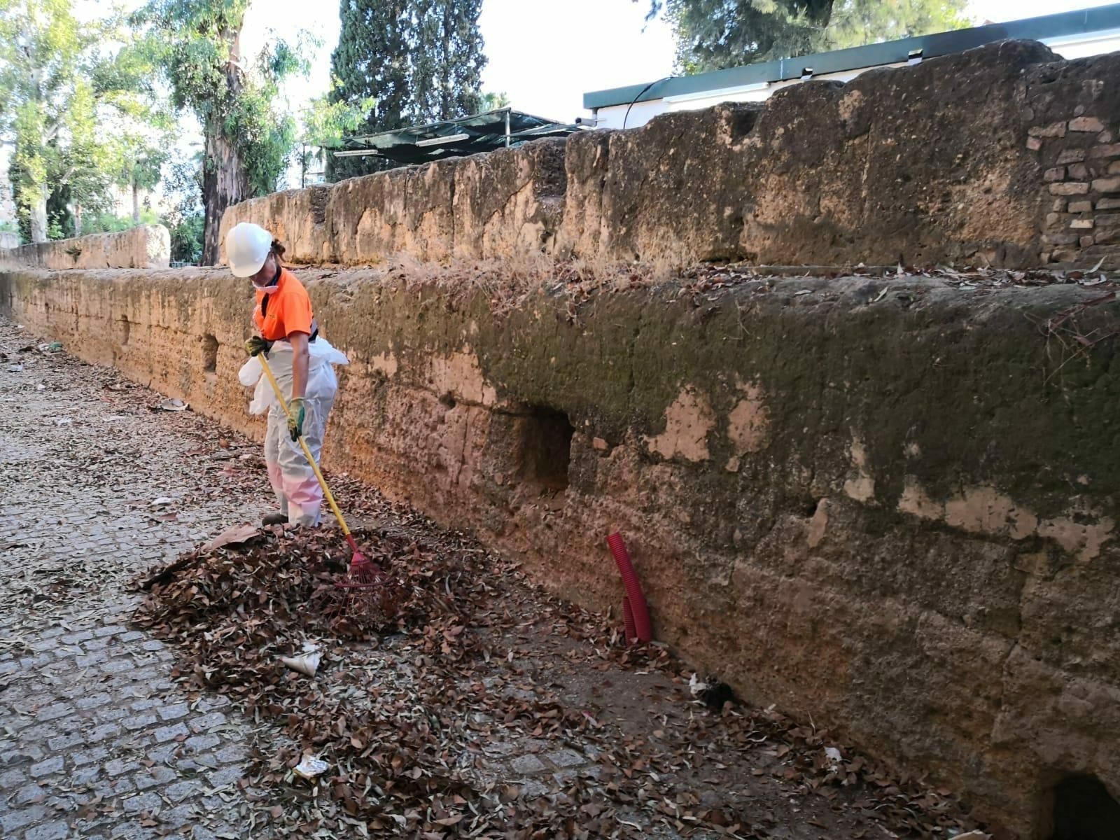 Un operario de Lipasam durante la limpieza del entorno de la Muralla.