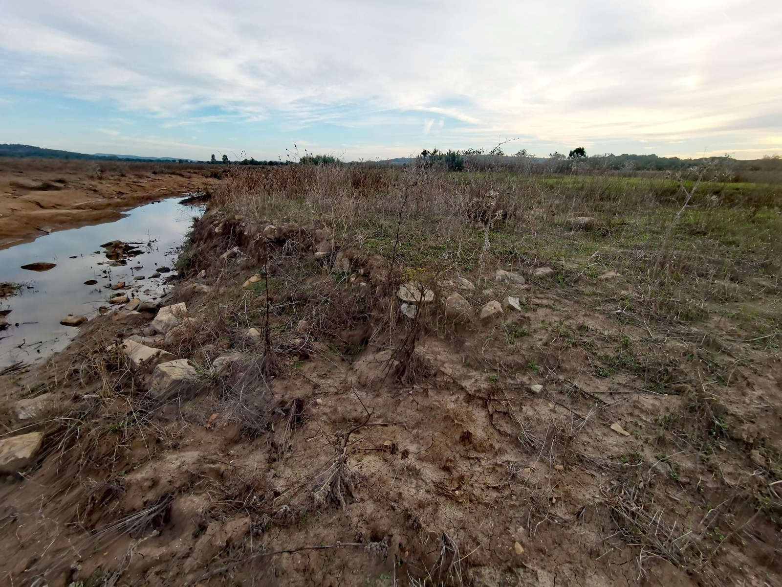 Hiladas de piedra en la isla H junto al cauce del río Álamo