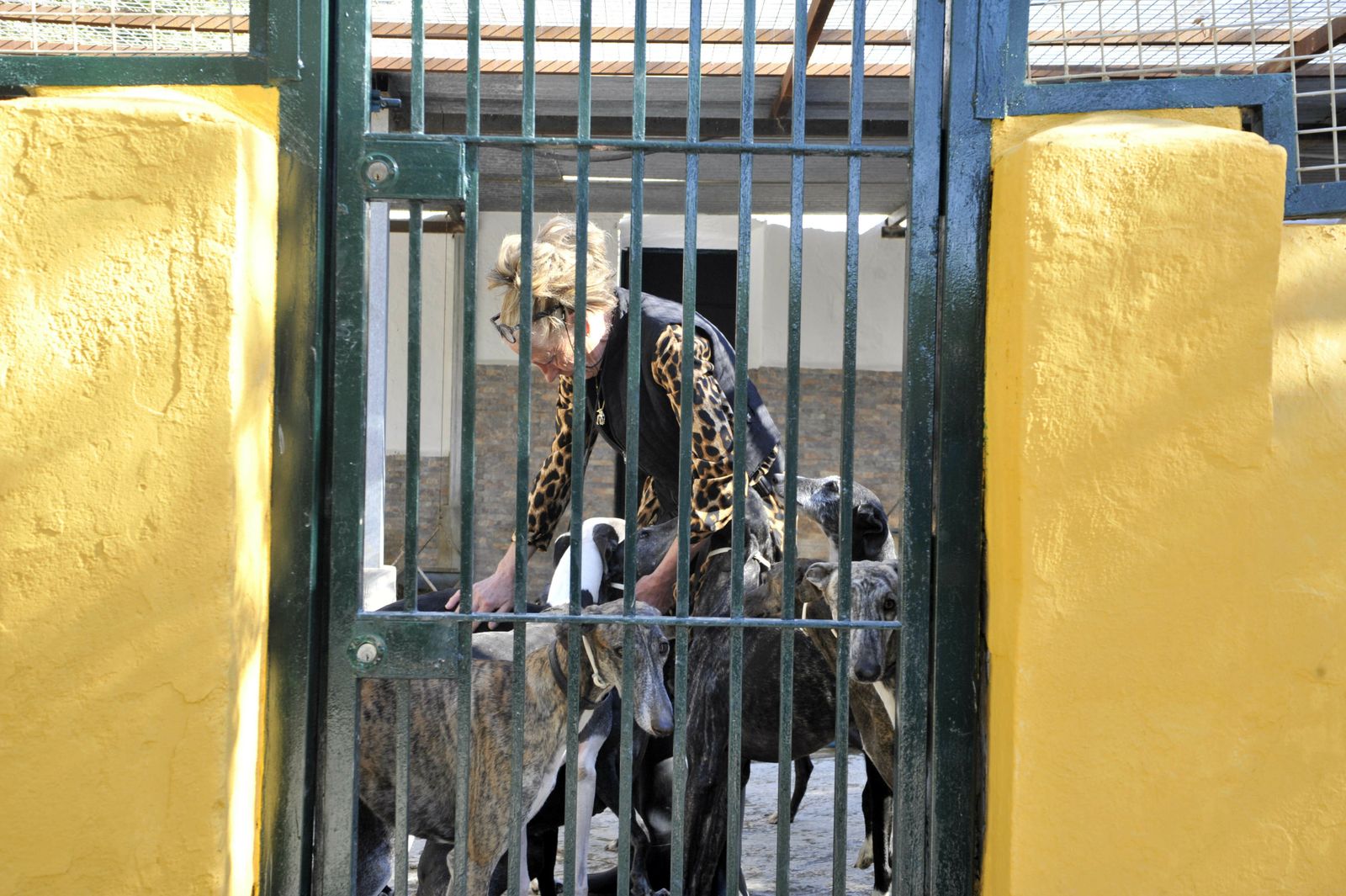 Centro de Animales Abandonados y Perdidos de Villamartín.