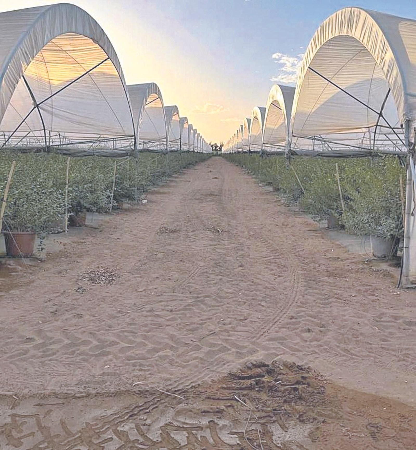 Nuevos retos, nuevas soluciones