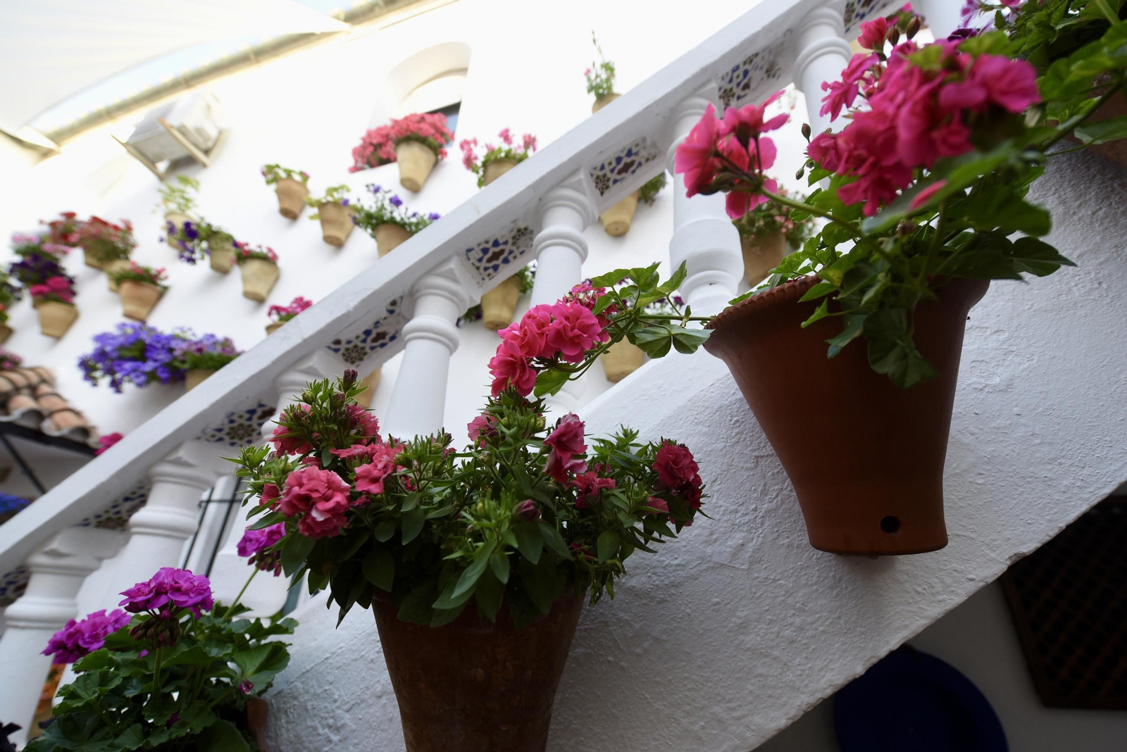 Los Patios de la ruta de San Lorenzo, en imágenes