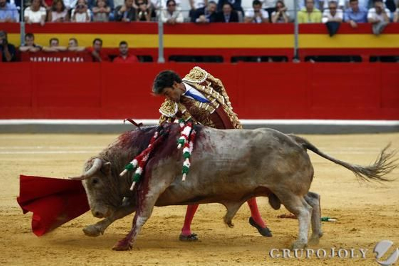 Foto: Pepe Villoslada