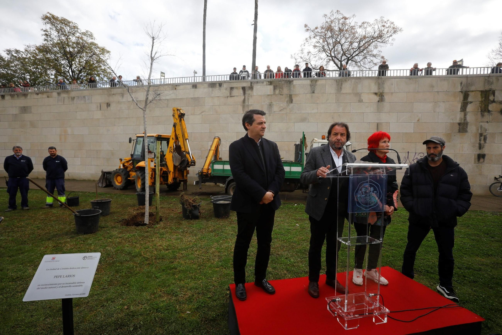 El árbol que siempre recordará a Pepe Larios en Córdoba, en imágenes