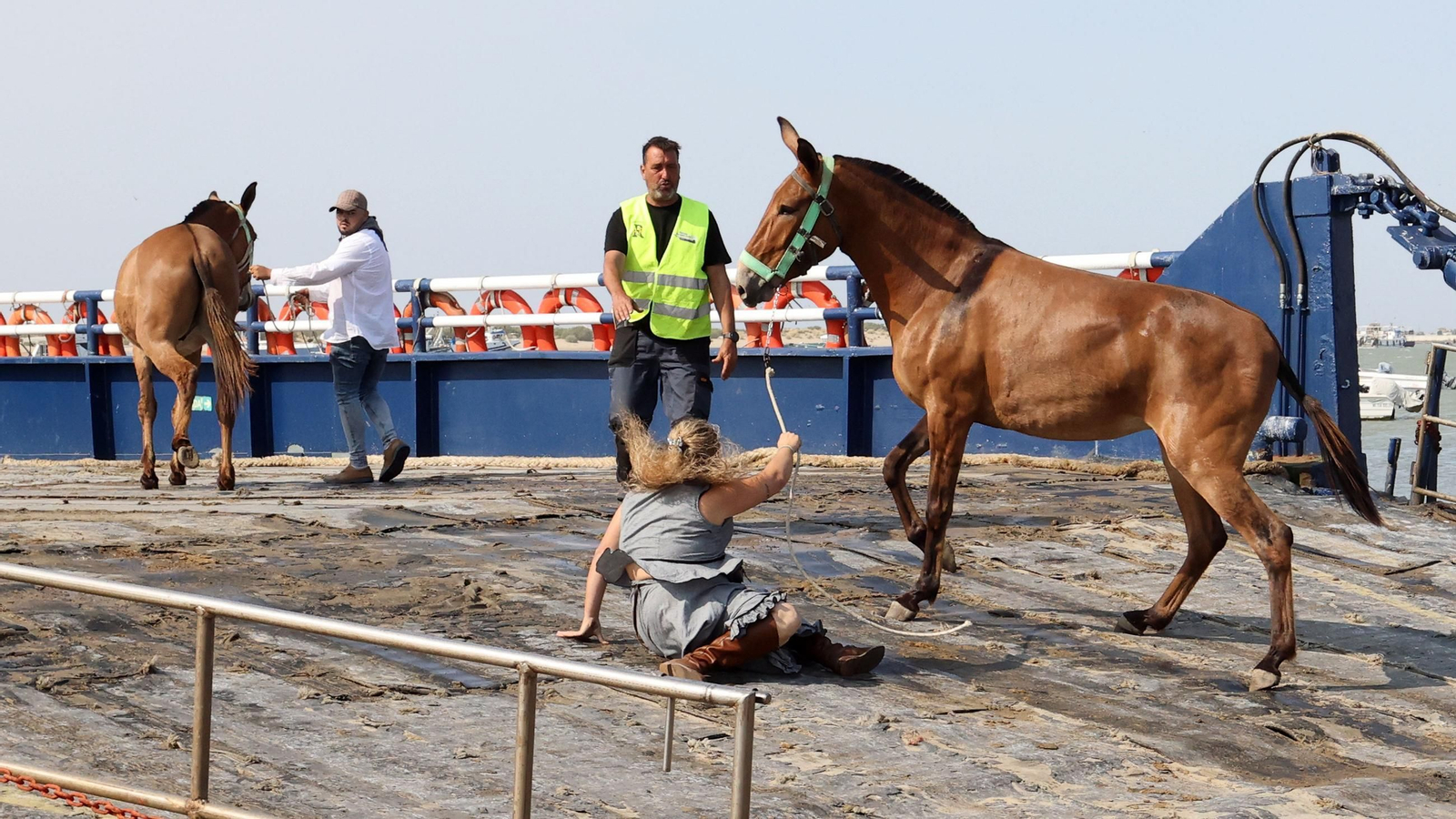 La Hdad del Rocío de Jerez de Bajo Guía a Doñana