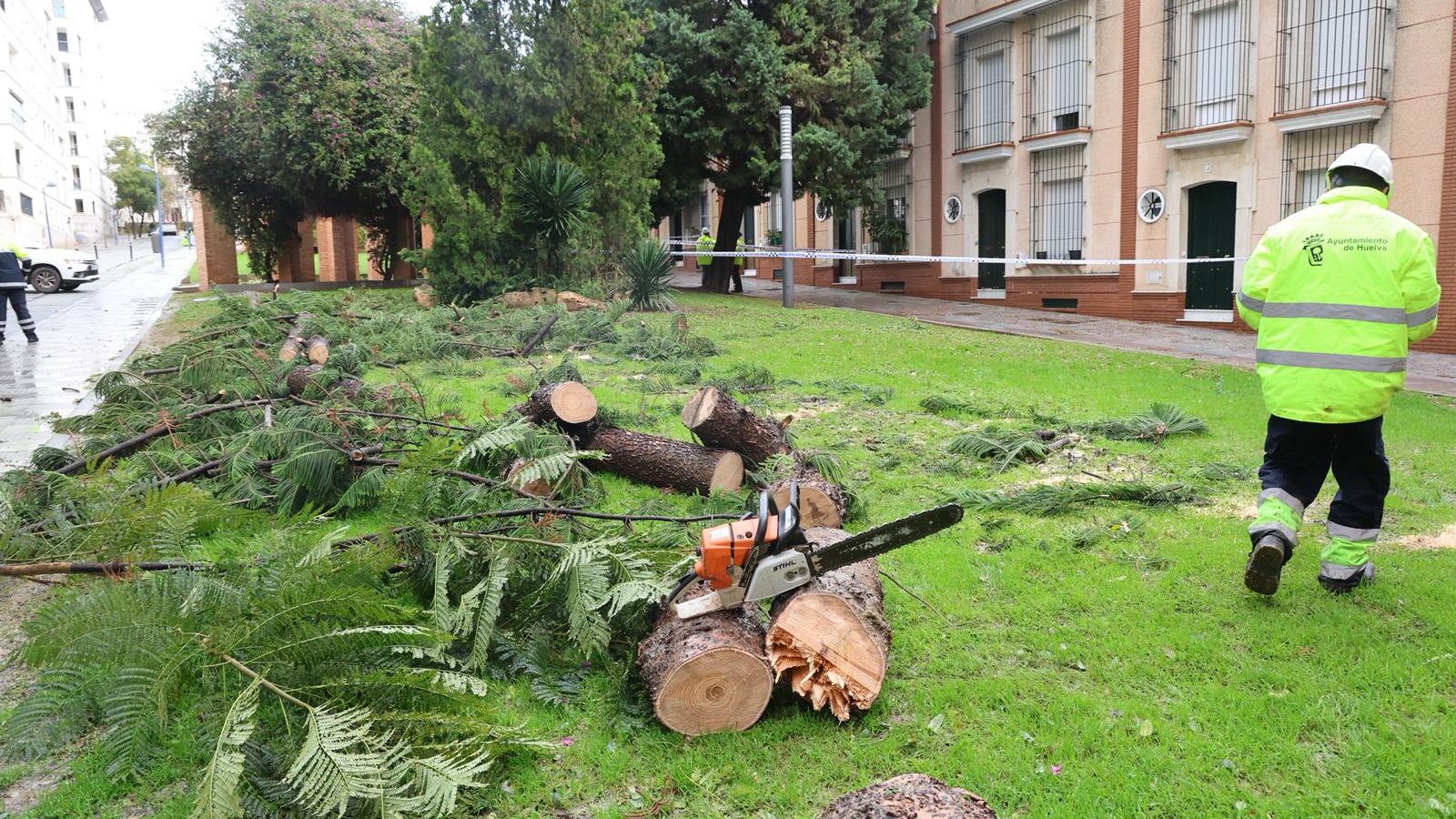 Árboles talados tras sufrir daños por el temporal en el jardín Anselmo Botello.