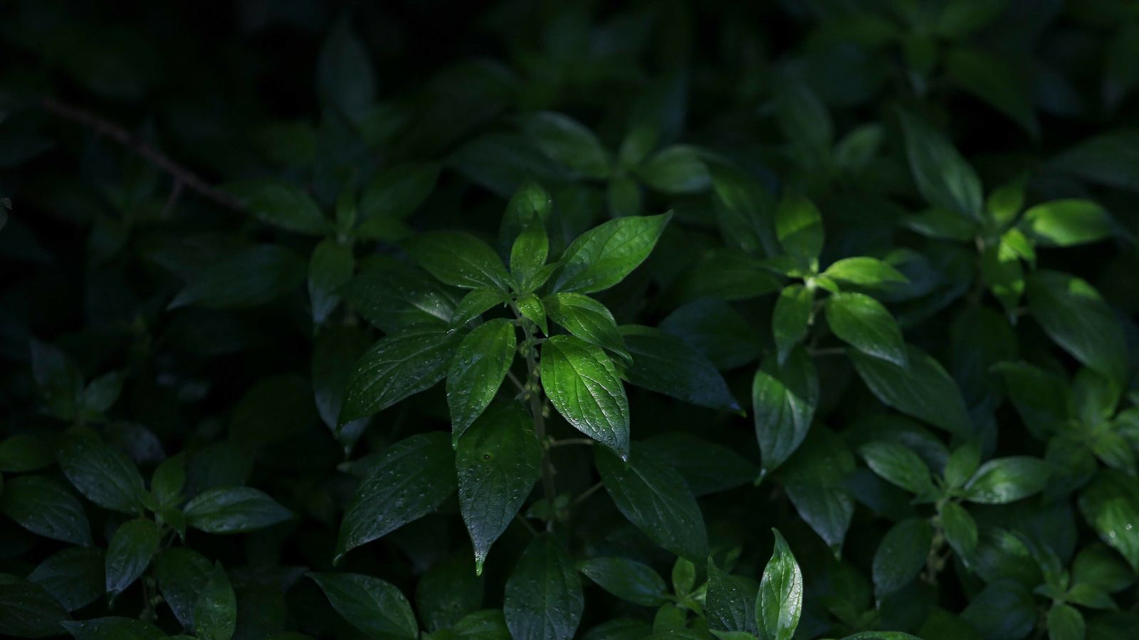 Las mejores fotos del parque fluvial del Río Pícaro