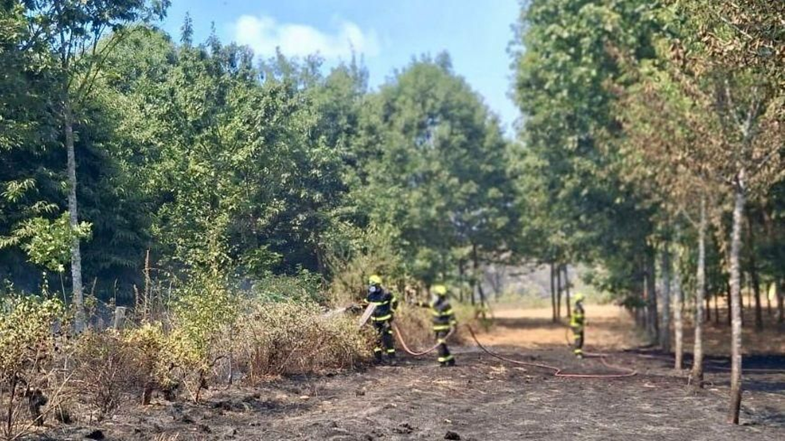 El trabajo de los bomberos de la provincia en Ourense contra los incendios