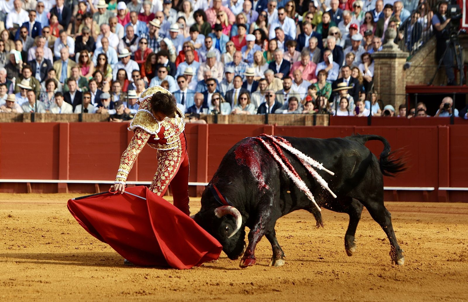 Las mejores imágenes de la corrida de toros de Juan Ortega, Roca Rey y Pablo Aguado