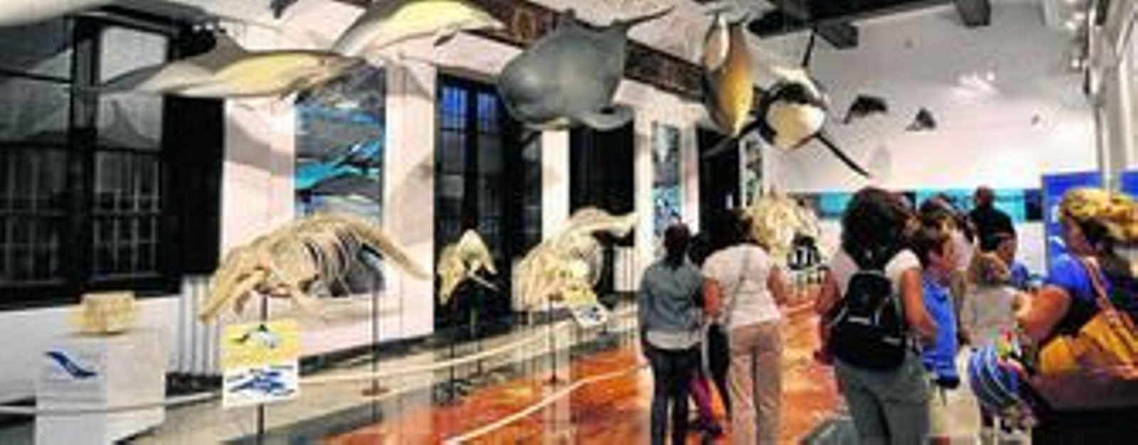 La Casa de la Ciencia de Sevilla tampoco recibirá inversiones de momento.