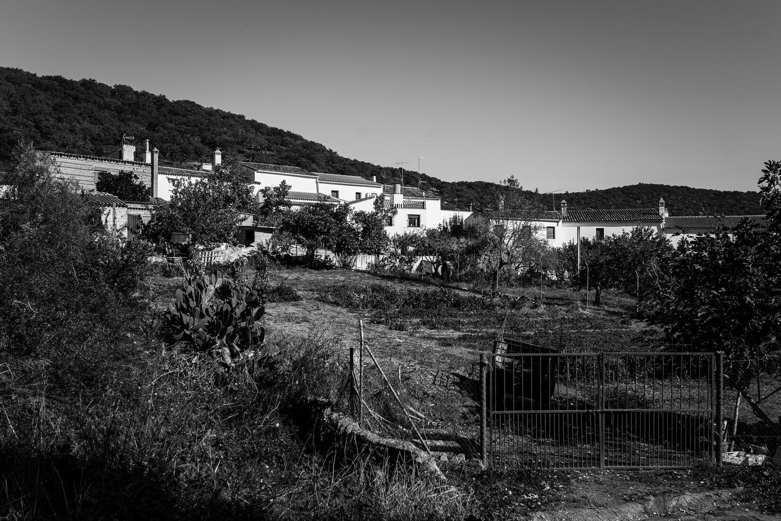 Las Cefiñas en Aroche.