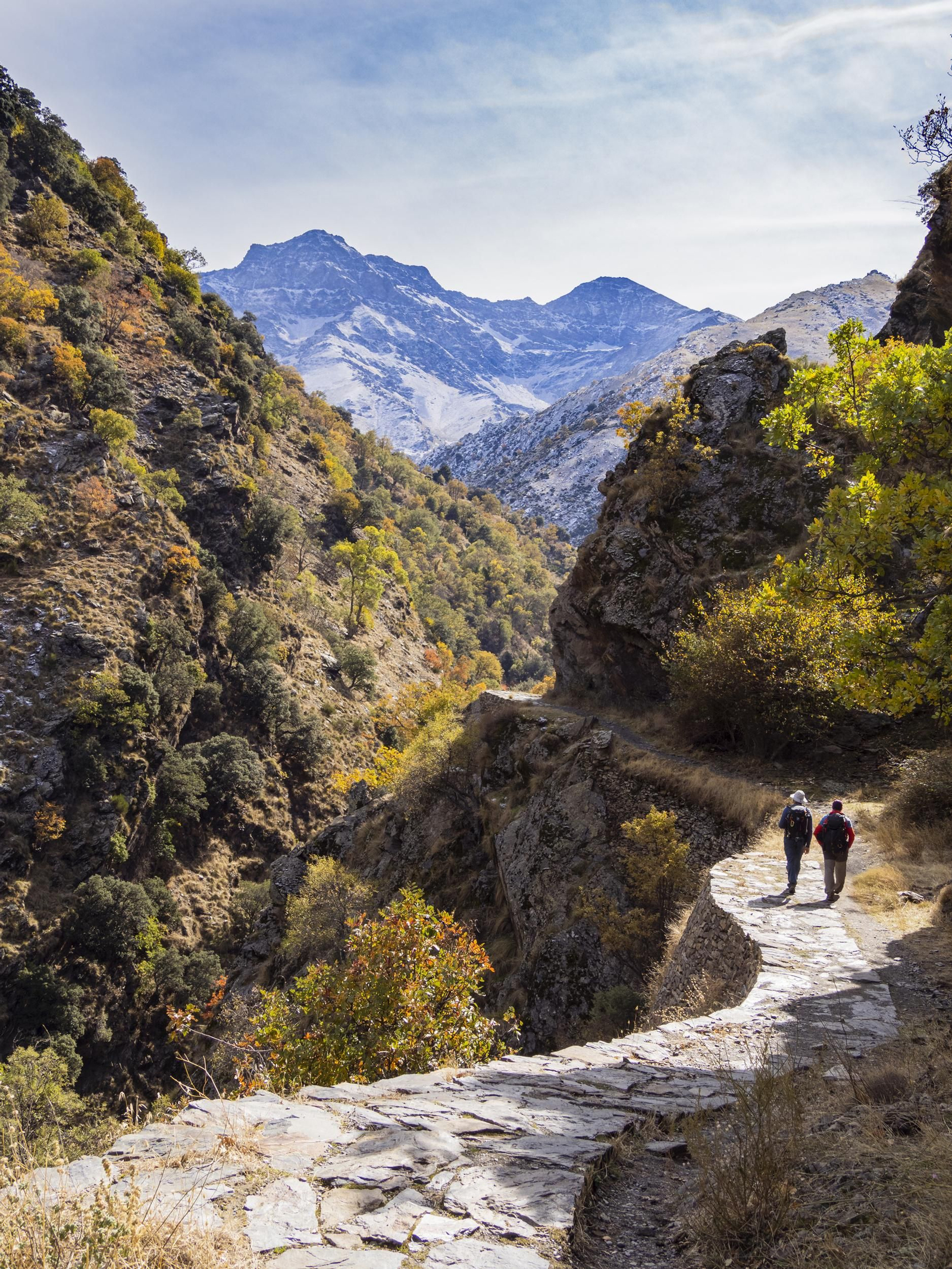 La Vereda de la Estrella en la Sierra Nevada granadina es una de los grandes atractivos de la provincia.