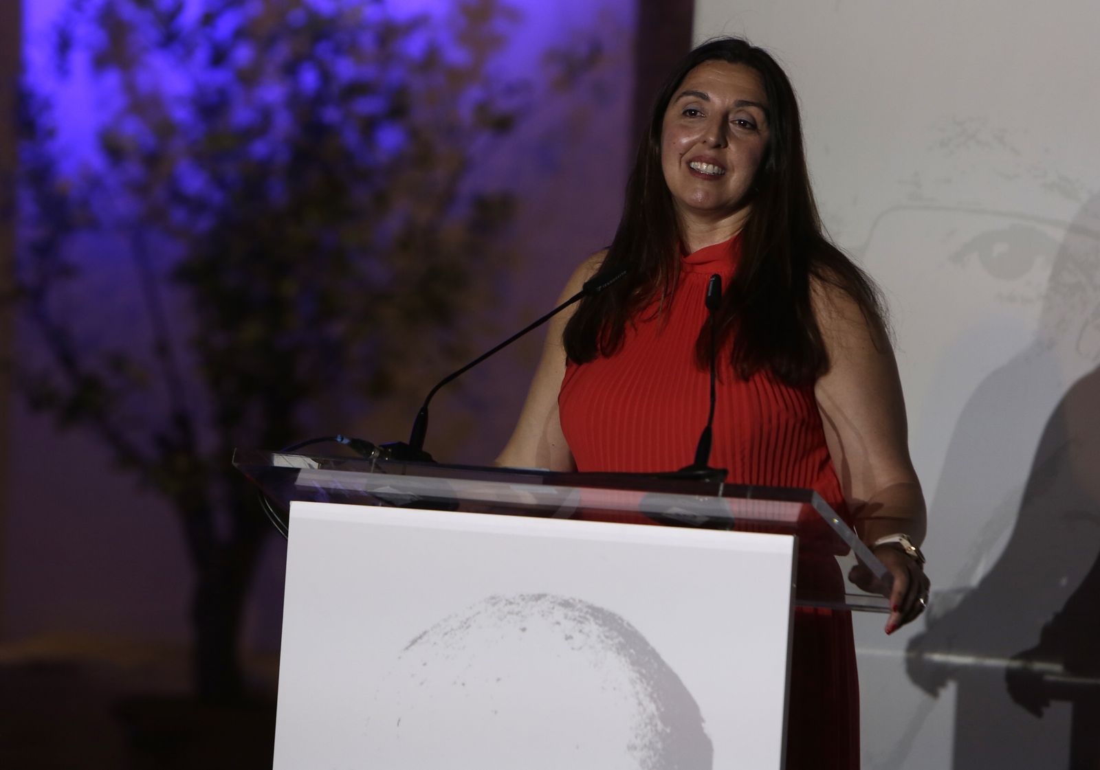 X PREMIO MANUEL CLAVERO A DÑA PILAR MANCHON