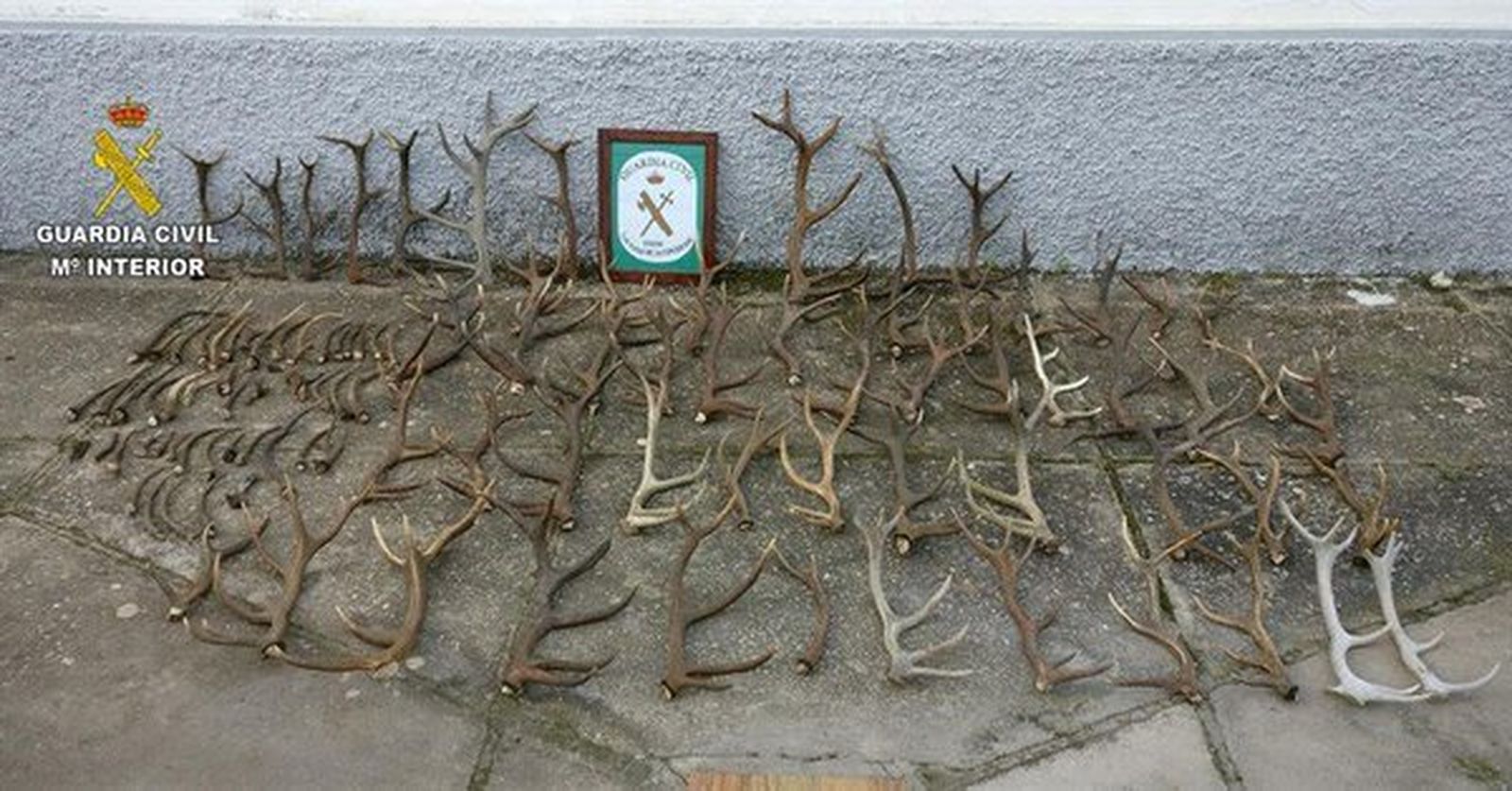 Parte del material incautado.