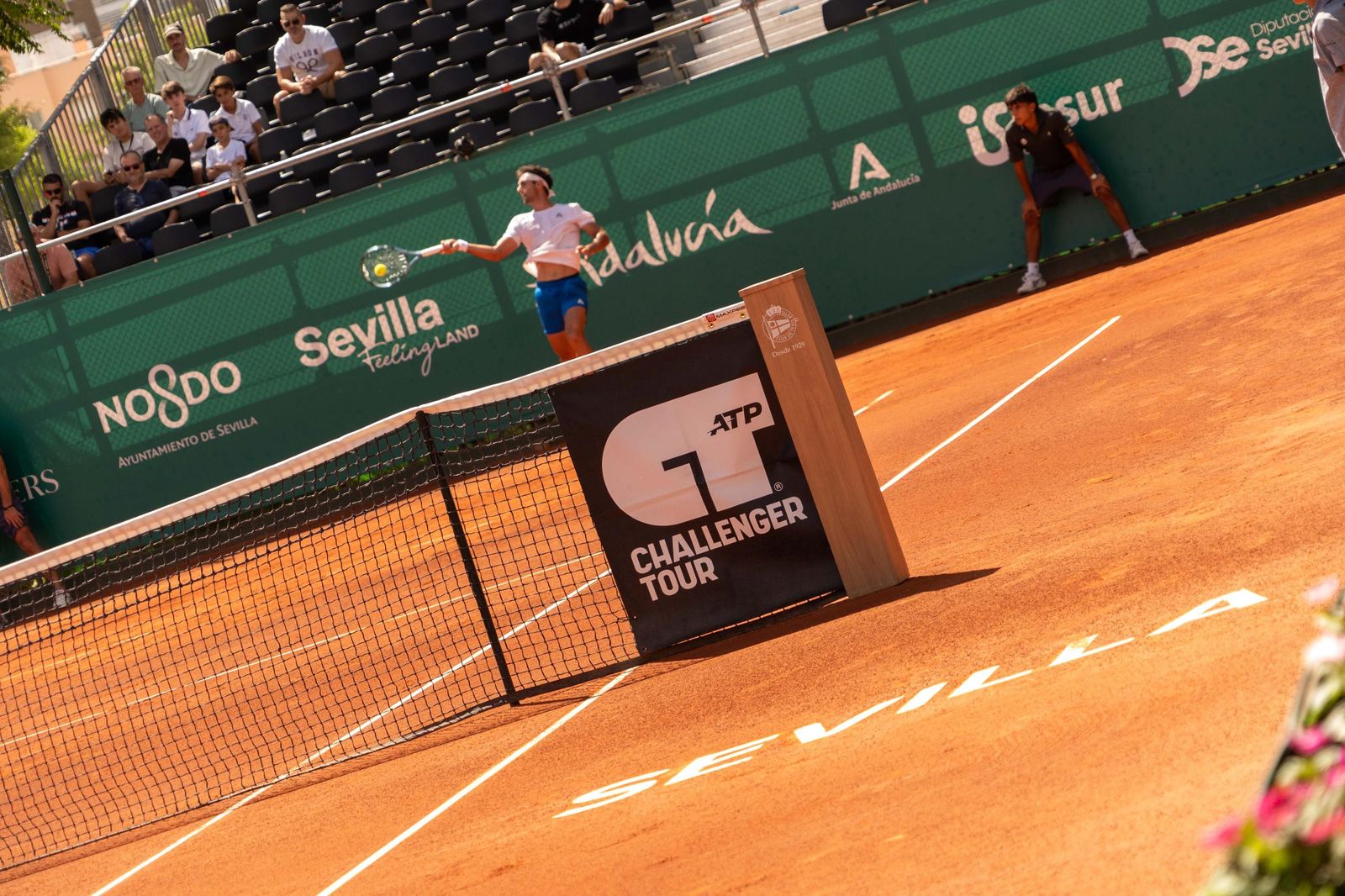 Buse - Taberner (2).jpg