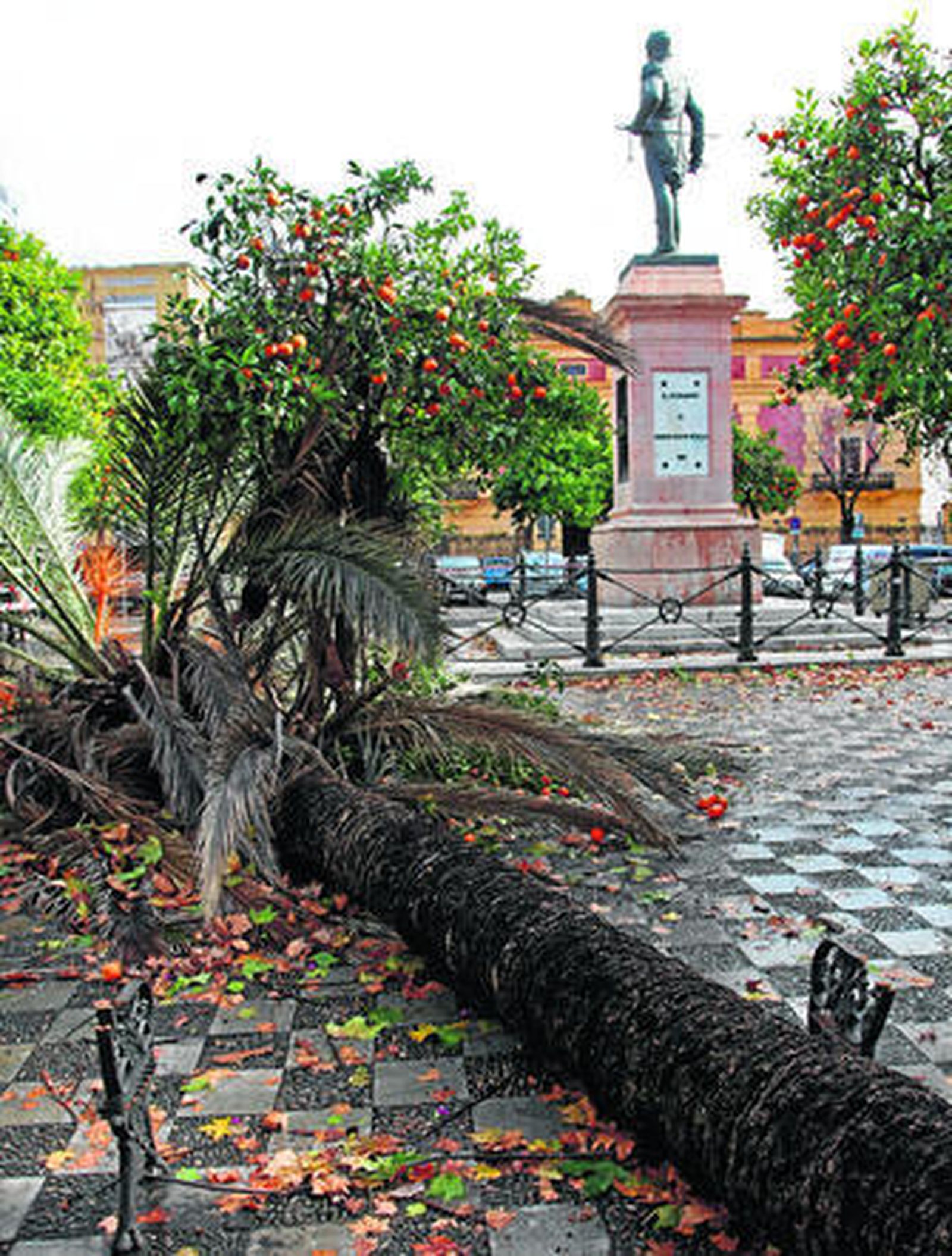 La palmera caída el sábado en la Plaza de la Gavidia.