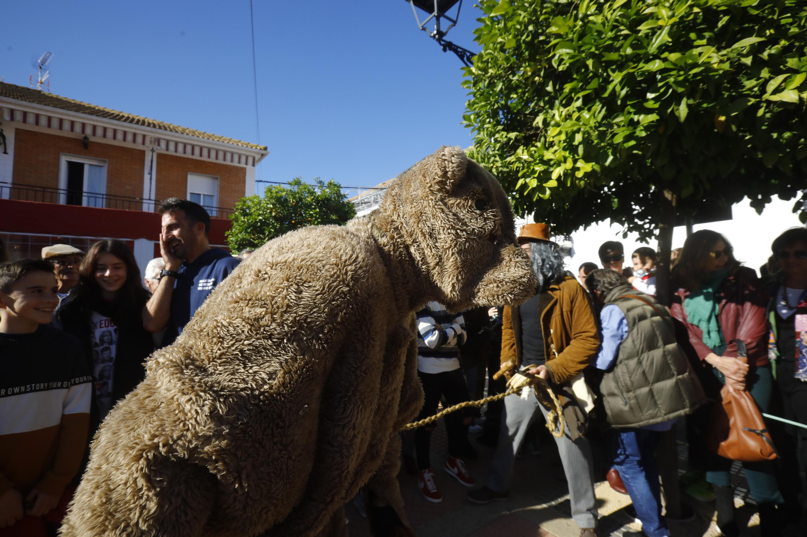 Las mejores fotografías de los tradicionales Danza de los locos y Baile del oso de Fuente Carreteros
