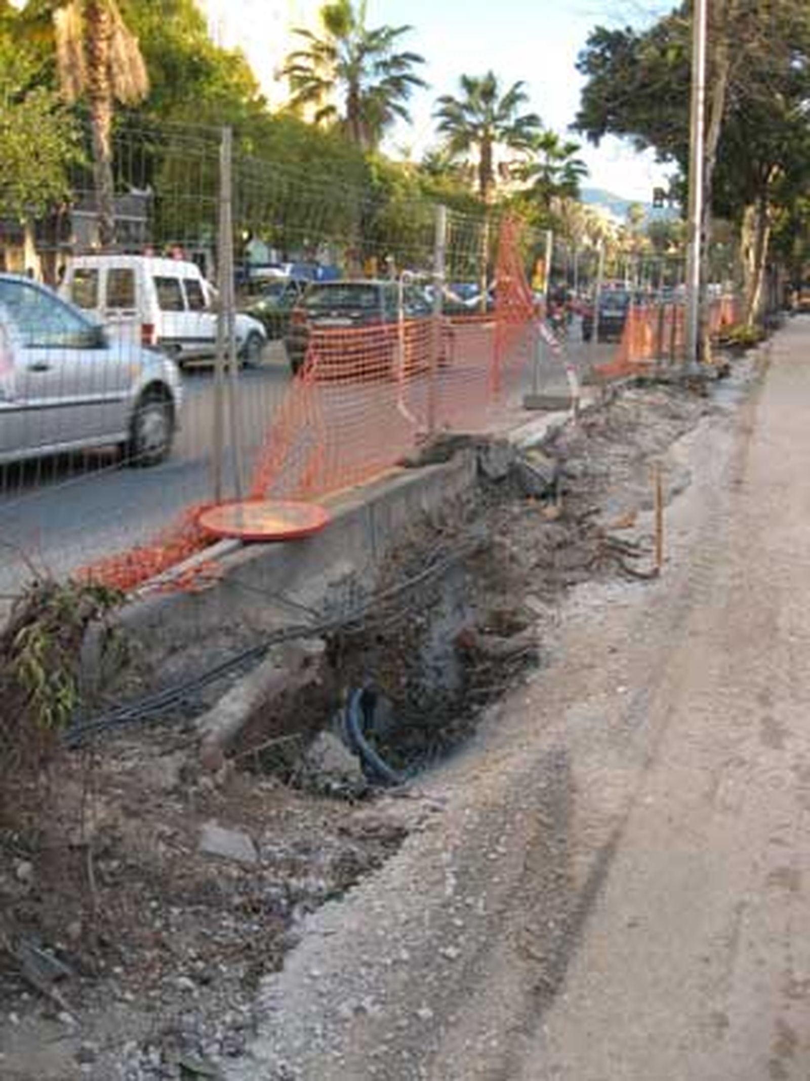 Un árbol se desplomó a causa del viento, dejando este panorama.

Foto: Agencias