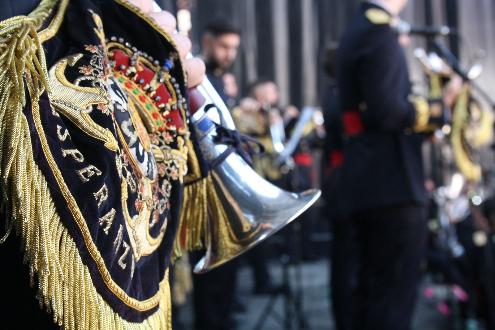 La formación en concierto