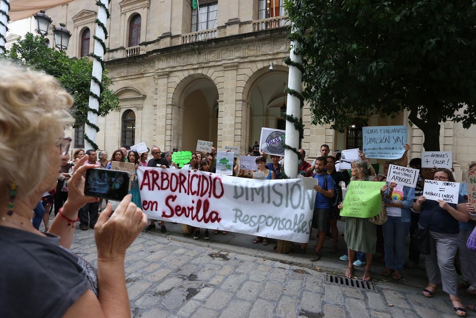 Protesta en la Plaza Nueva contra la tala de árboles