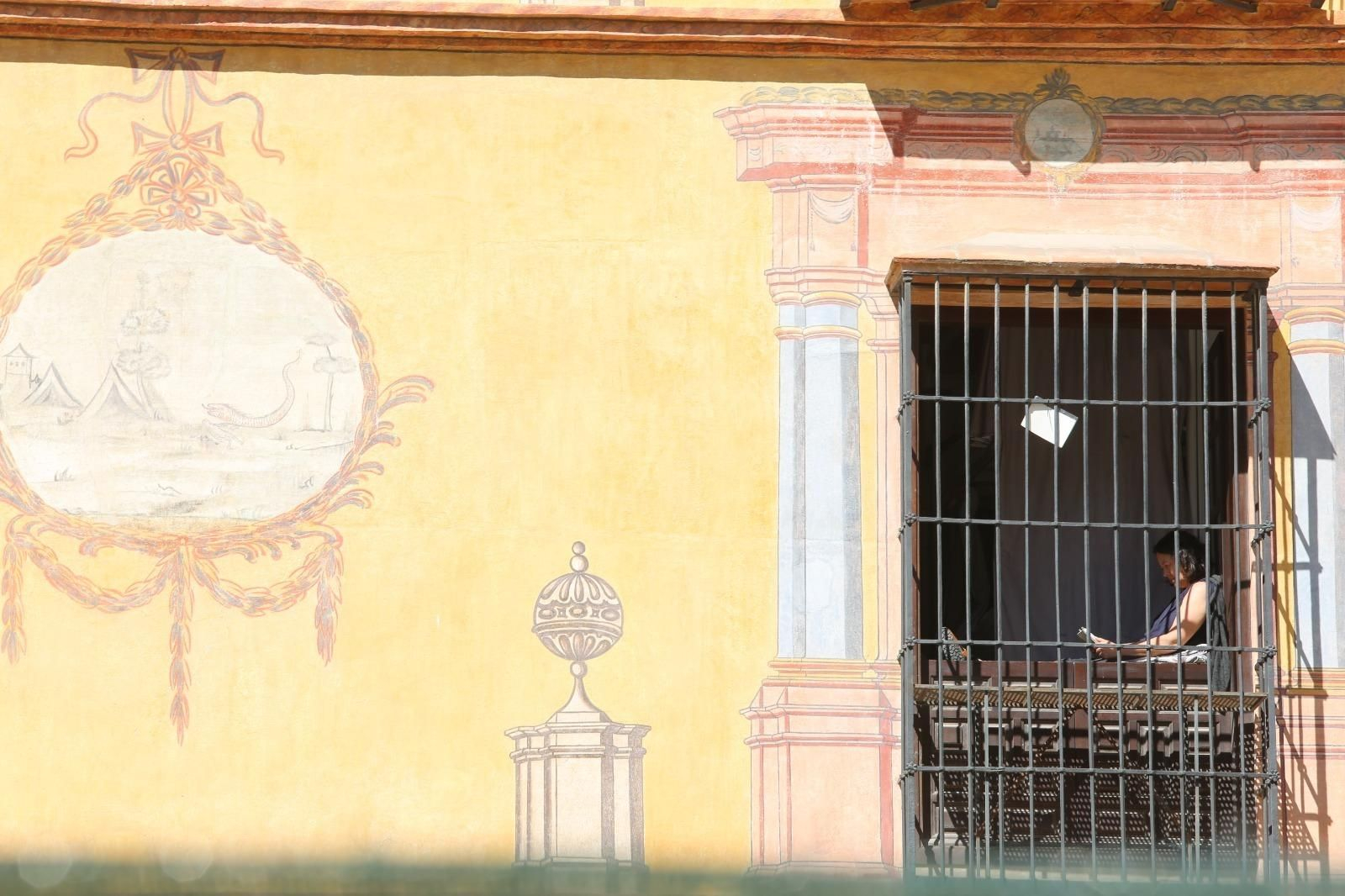 Lectura al sol en una ventana.