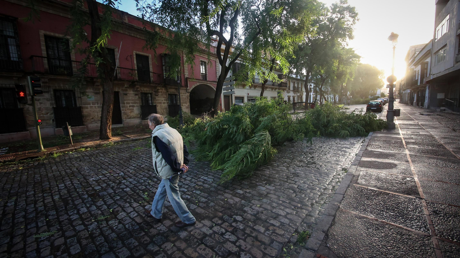Caos en Jerez por los destrozos del temporal de viento