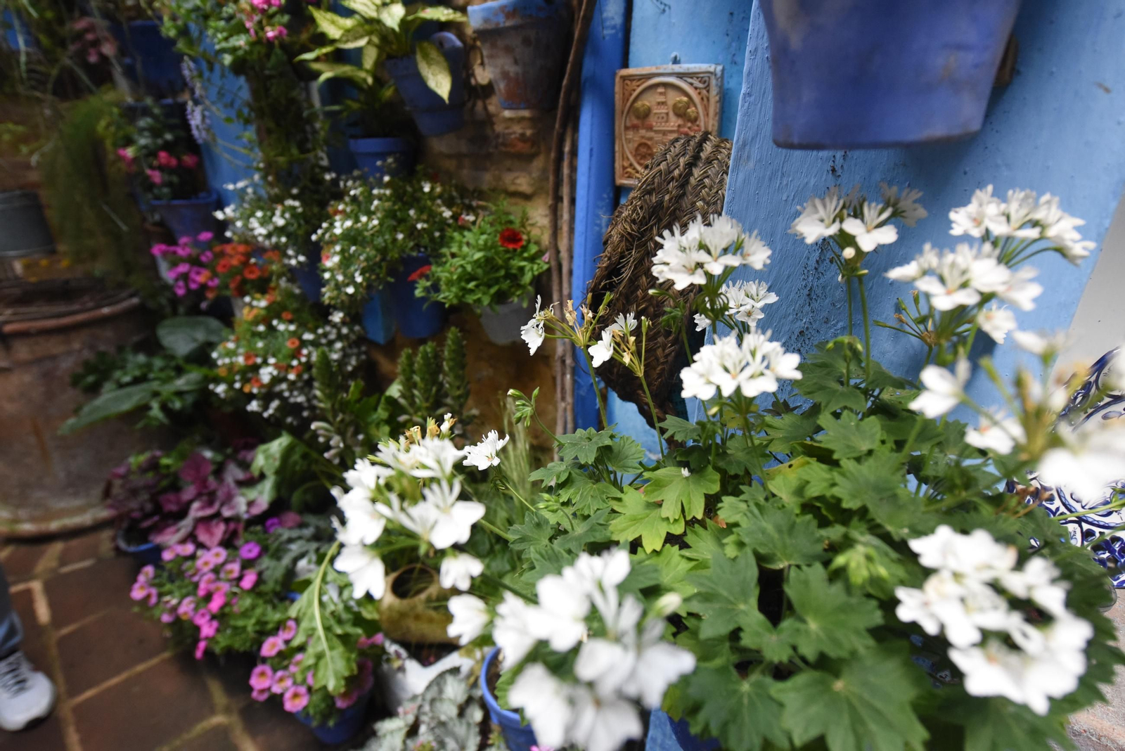 Los Patios de la ruta de San Lorenzo, en imágenes