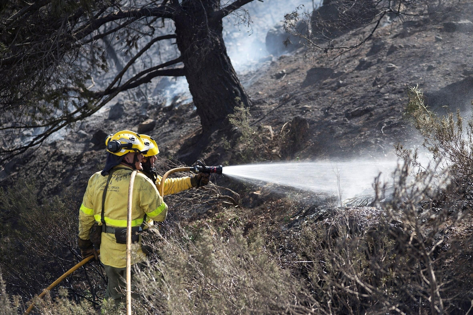 Varios bomberos forestales del Plan Infoca en un incendio