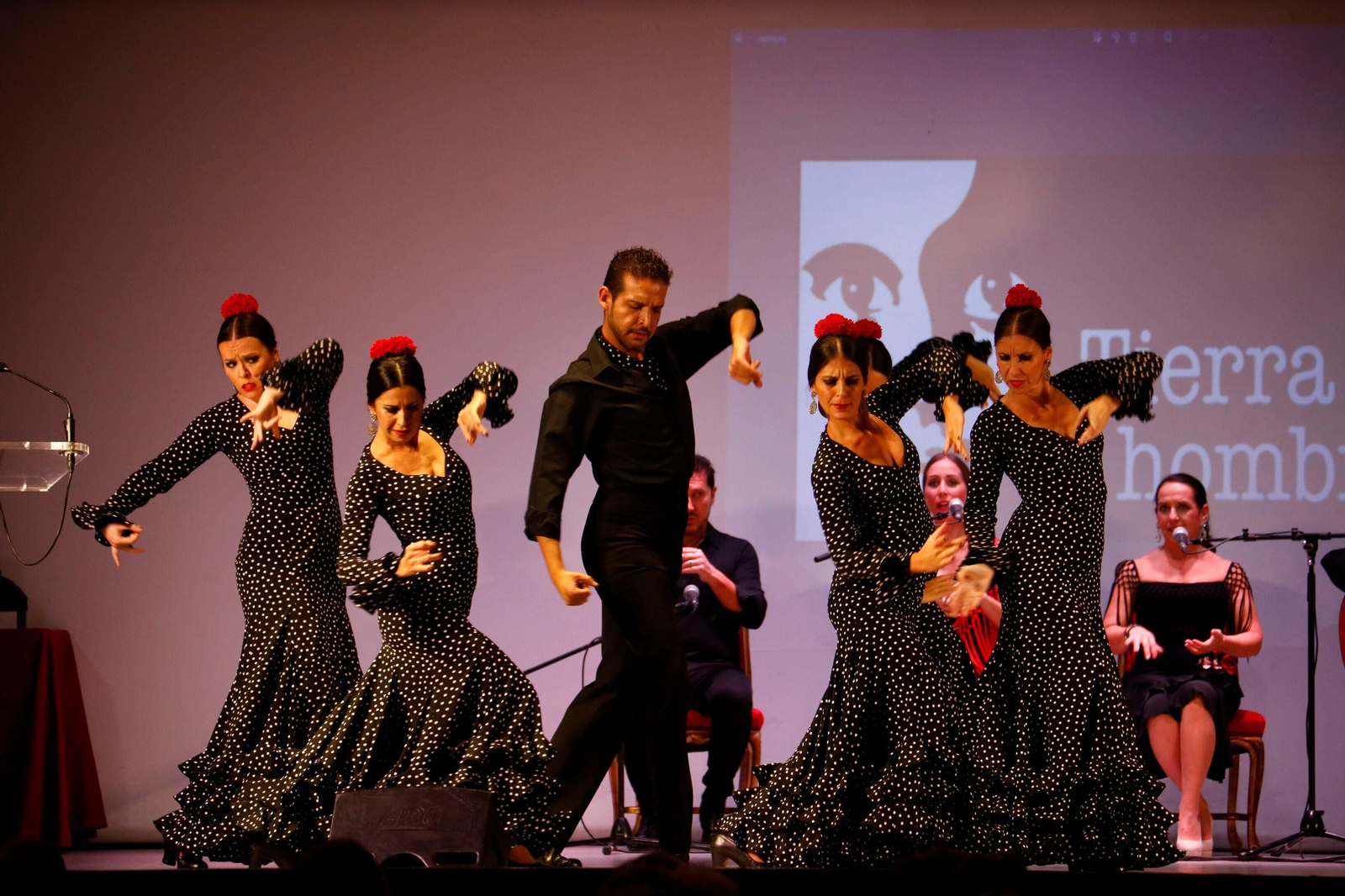 El Encuentro de Escuelas de Baile de Córdoba, en imágenes