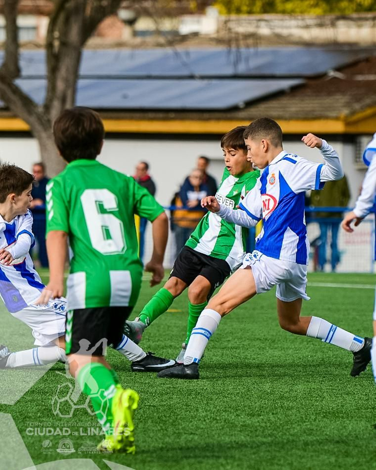 En imágenes: el RCD Espanyol, campeón del IV Torneo Internacional de Fútbol Alevín 'Ciudad de Linares'
