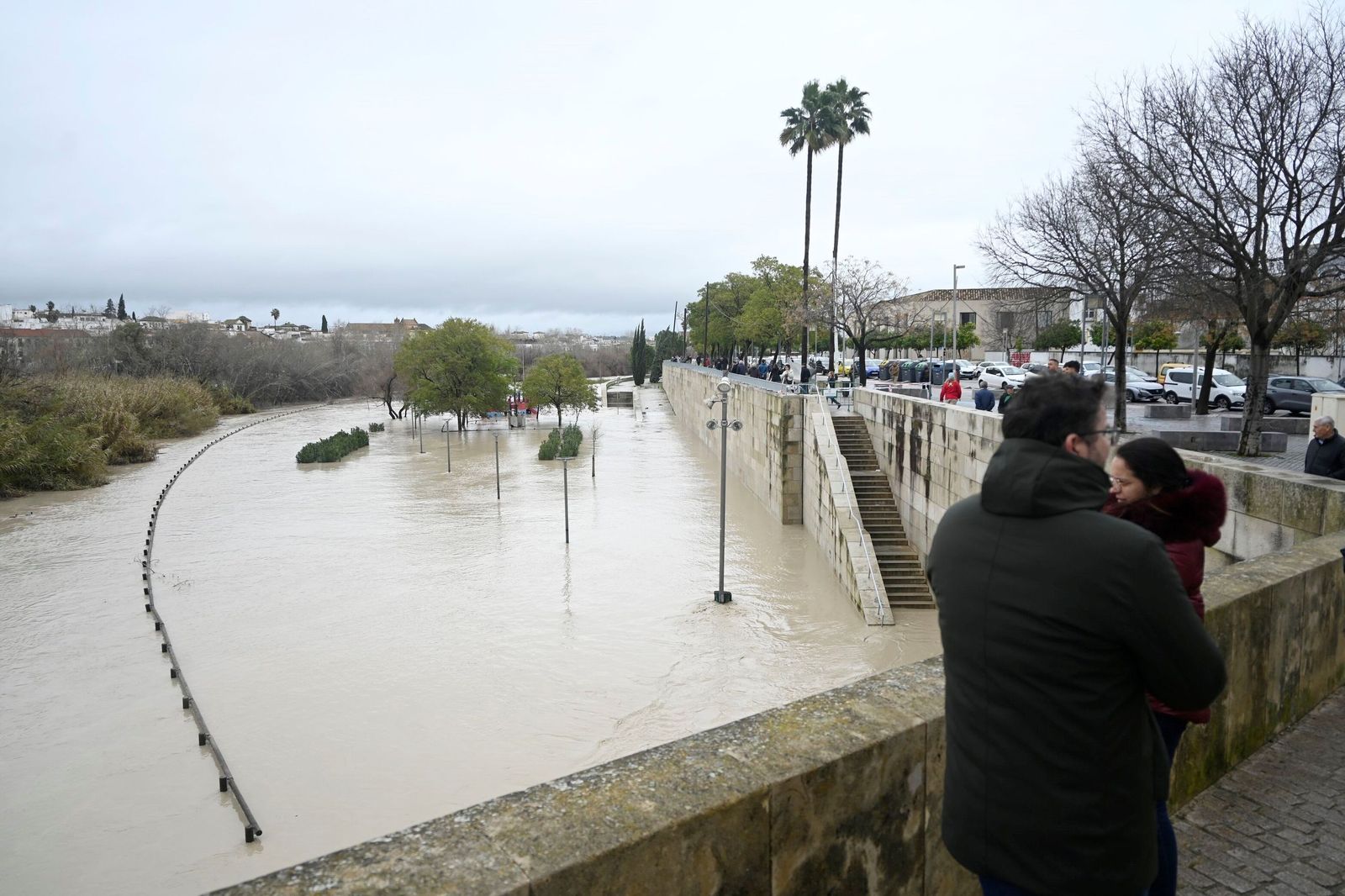La impresionante crecida del río Guadalquivir: se acerca a los 6 metros a su paso por Córdoba